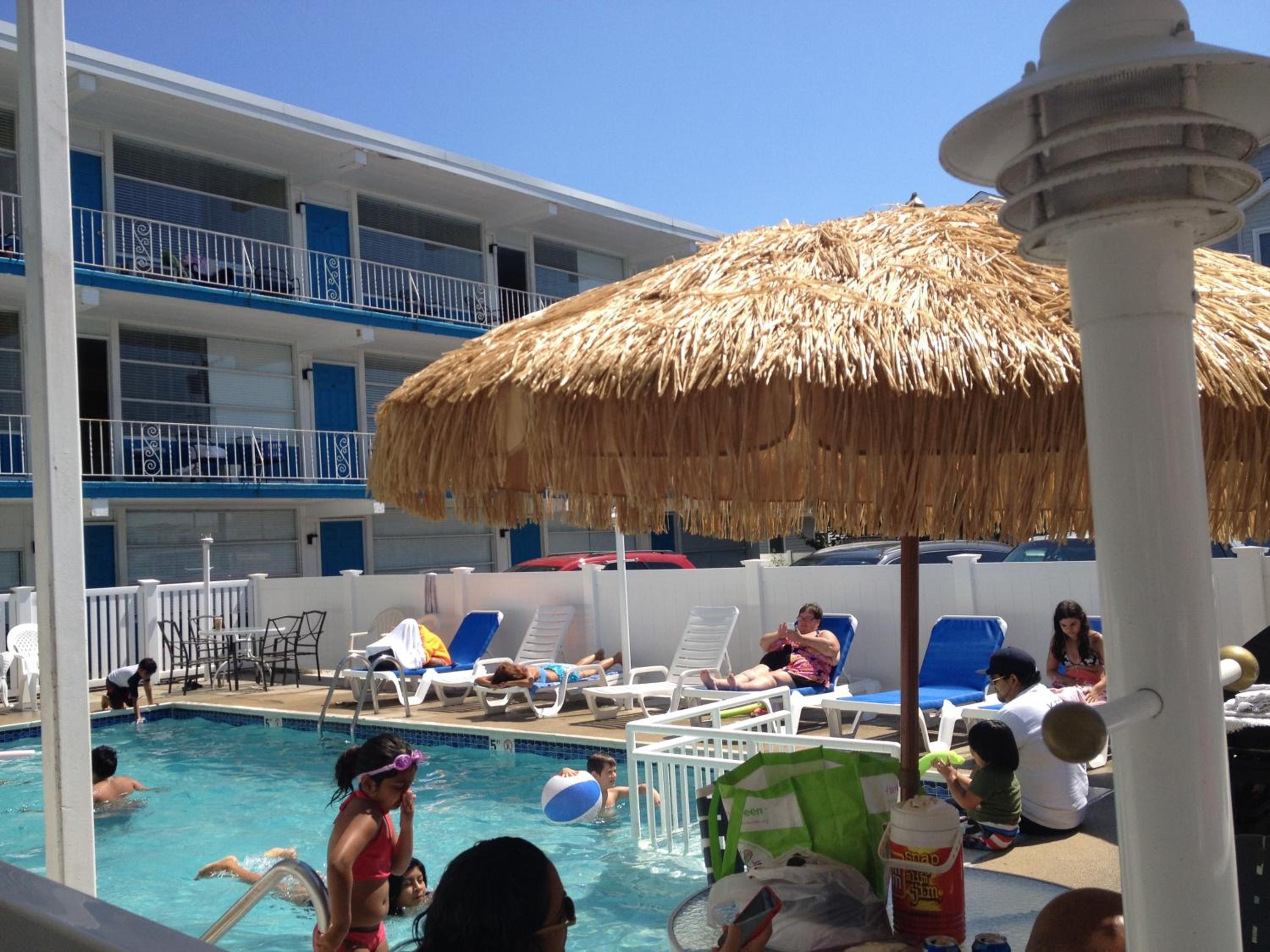 Bird of Paradise Motel