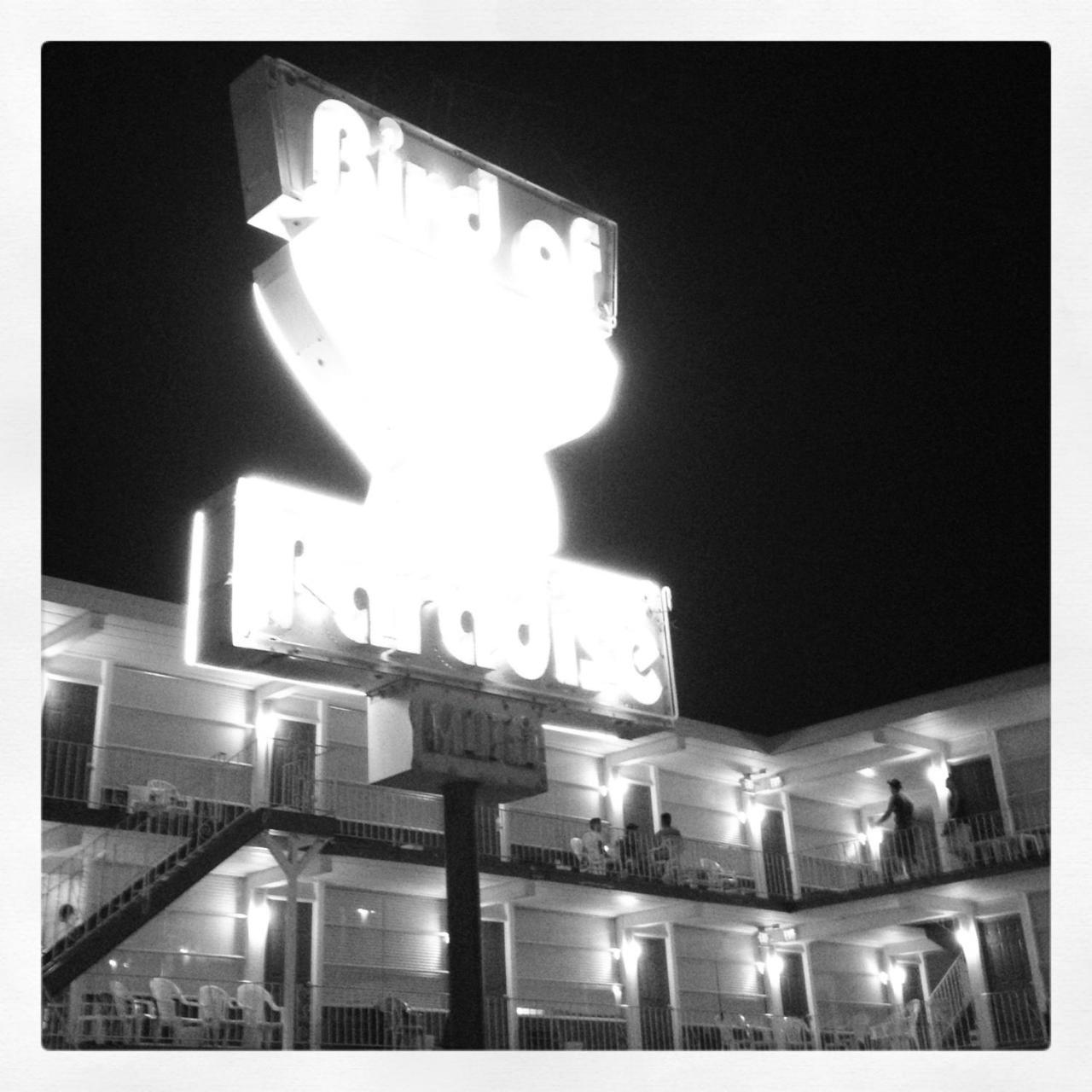 Bird of Paradise Motel