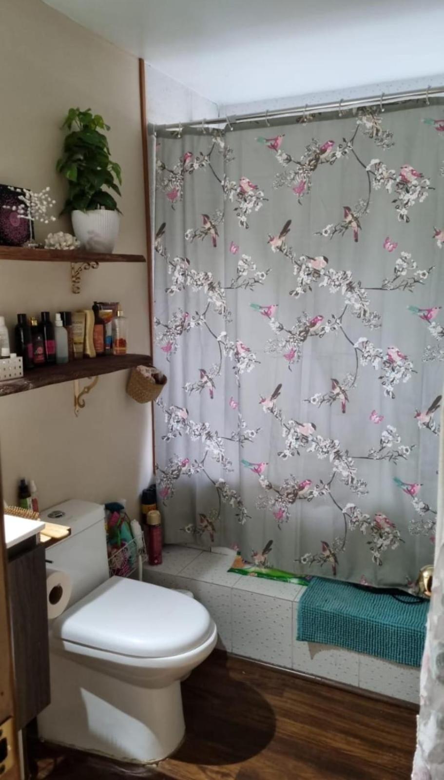 Casa en medio del bosque