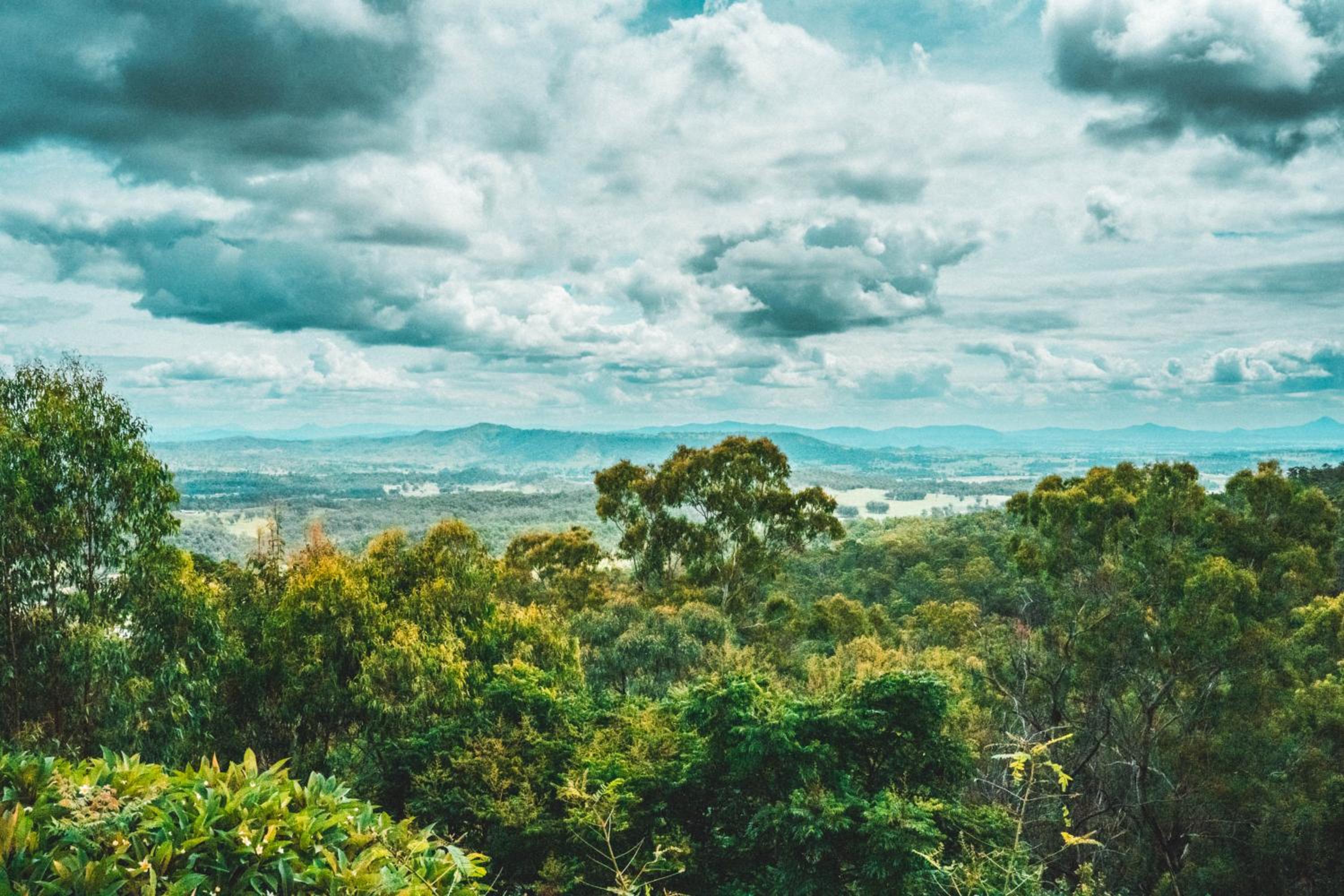 Luxurious Hinterland Guest House with HEATED POOL Sleeps 10 Brisbane Scenic Rim Gold Coast