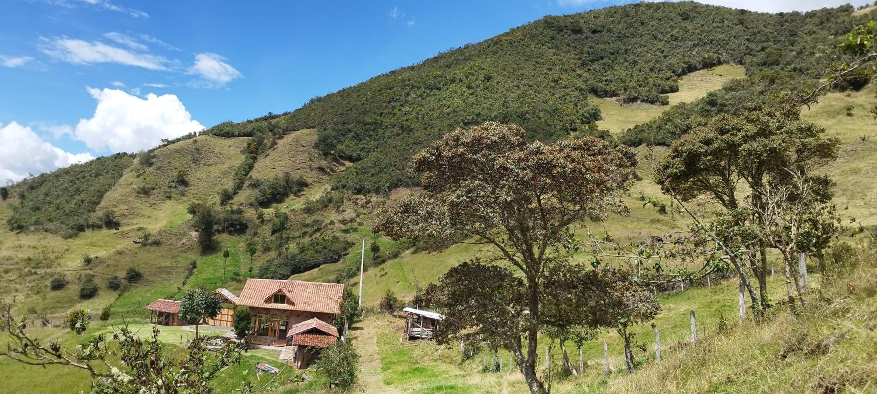 Cabaña Lato_puzhio