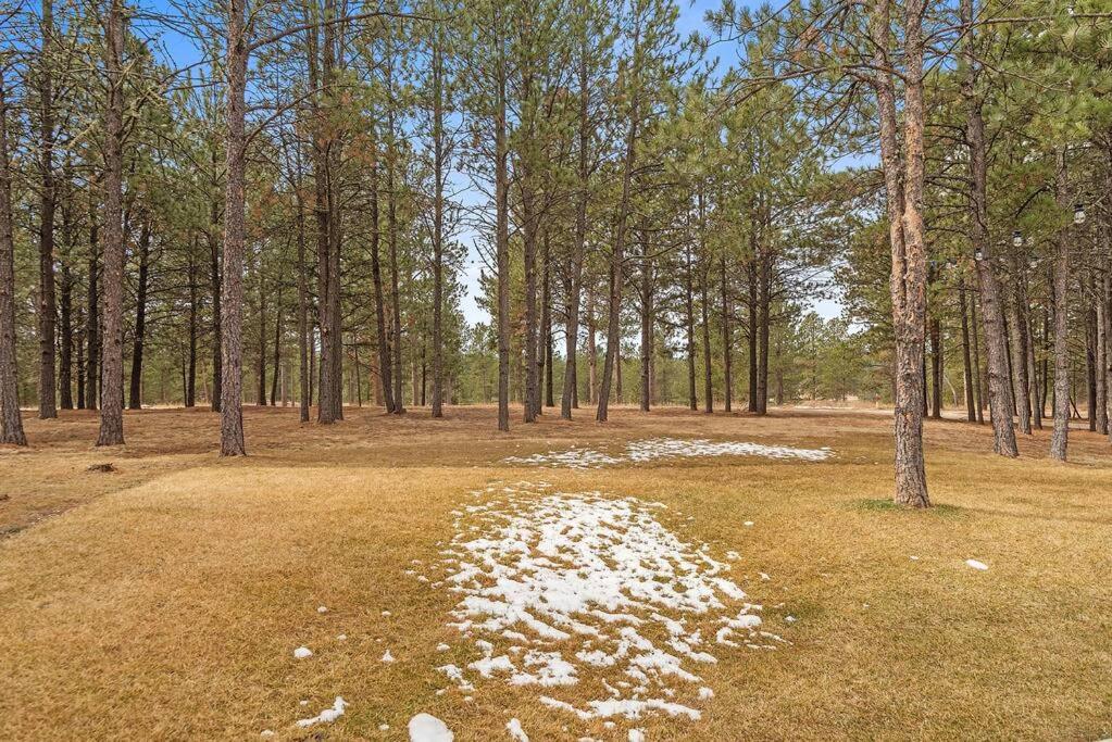 Camp Bluebird view 4