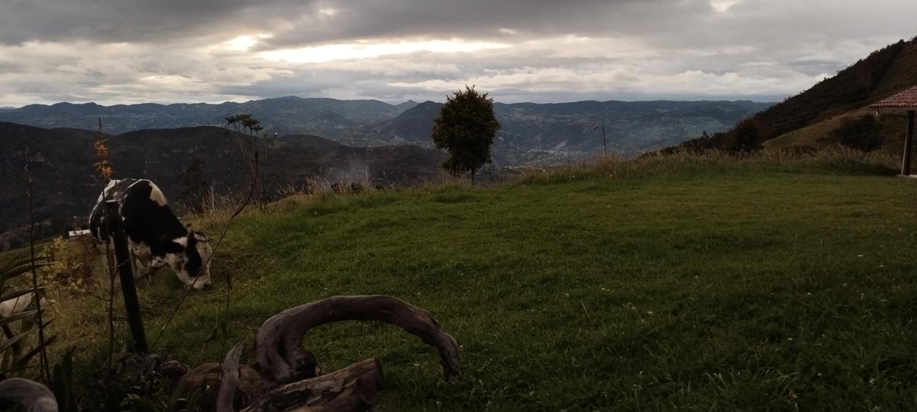 Cabaña Lato_puzhio
