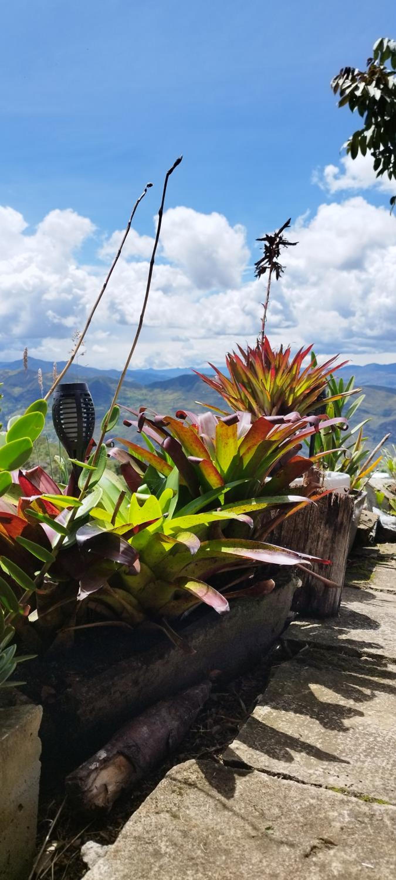 Cabaña Lato_puzhio