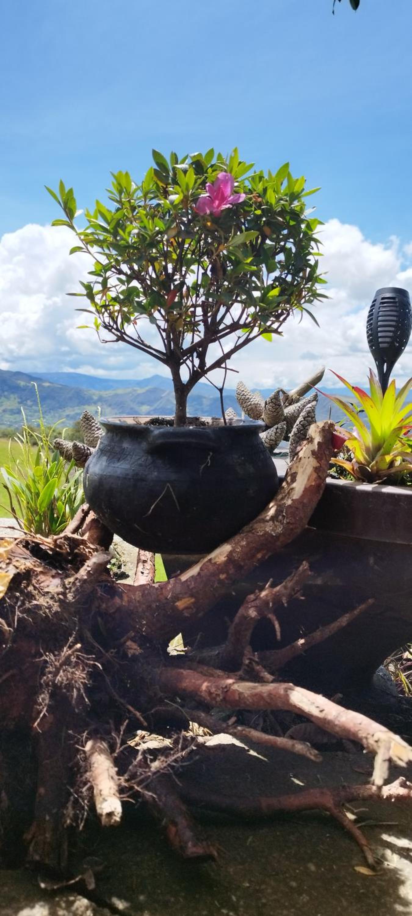 Cabaña Lato_puzhio