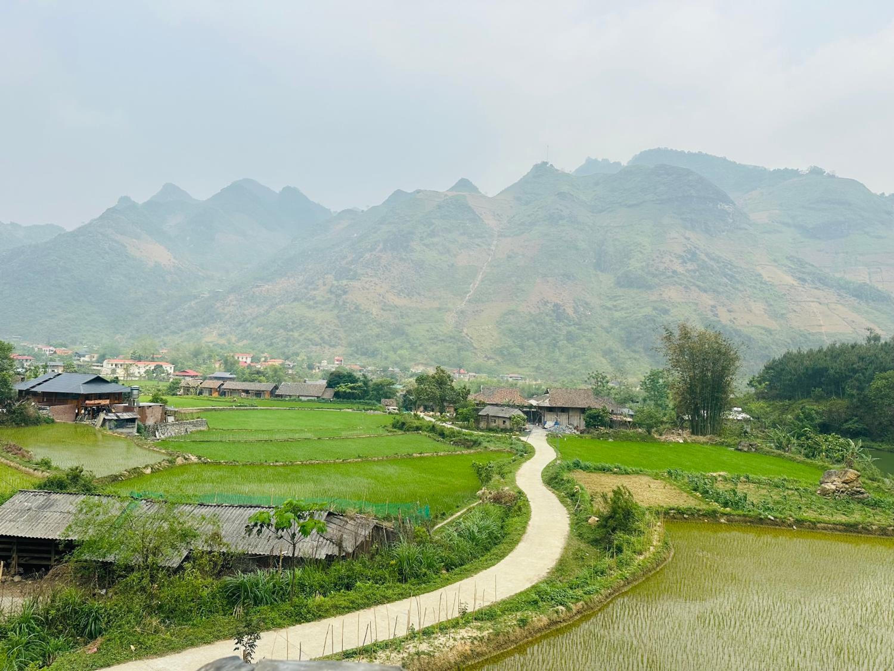 Du Gia Field View Homestay