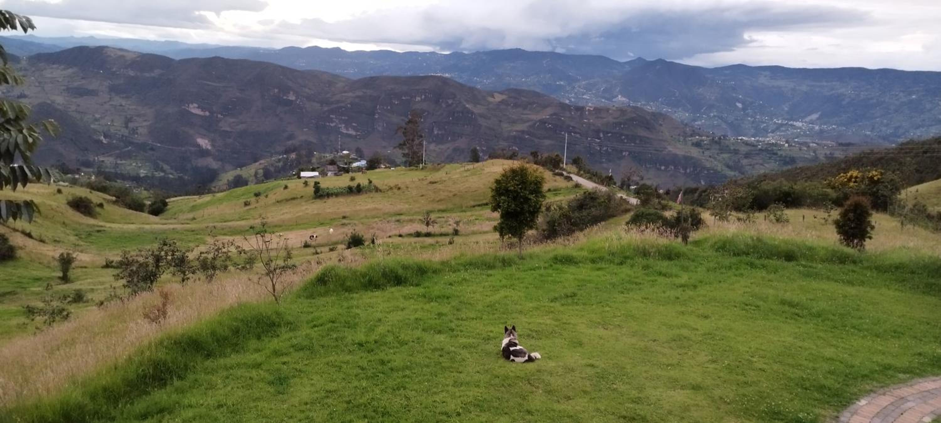 Cabaña Lato_puzhio