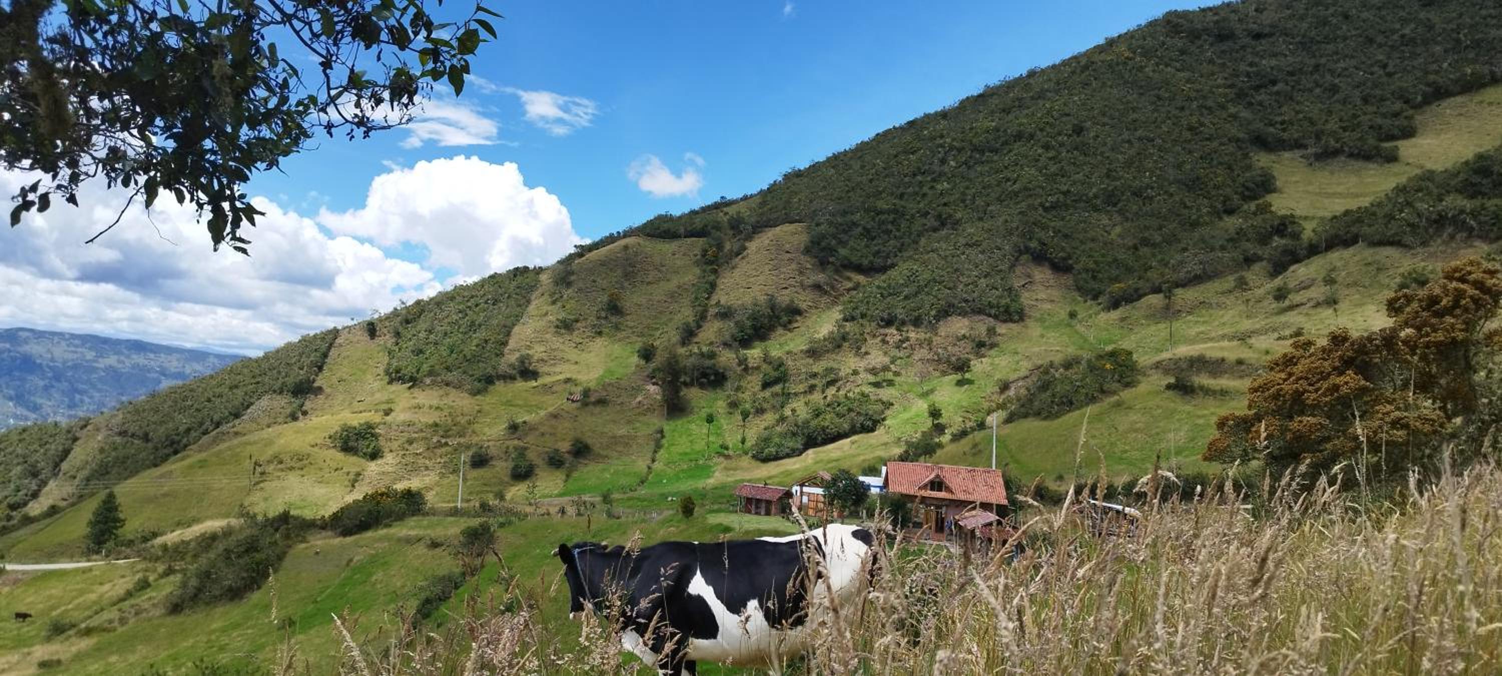 Cabaña Lato_puzhio
