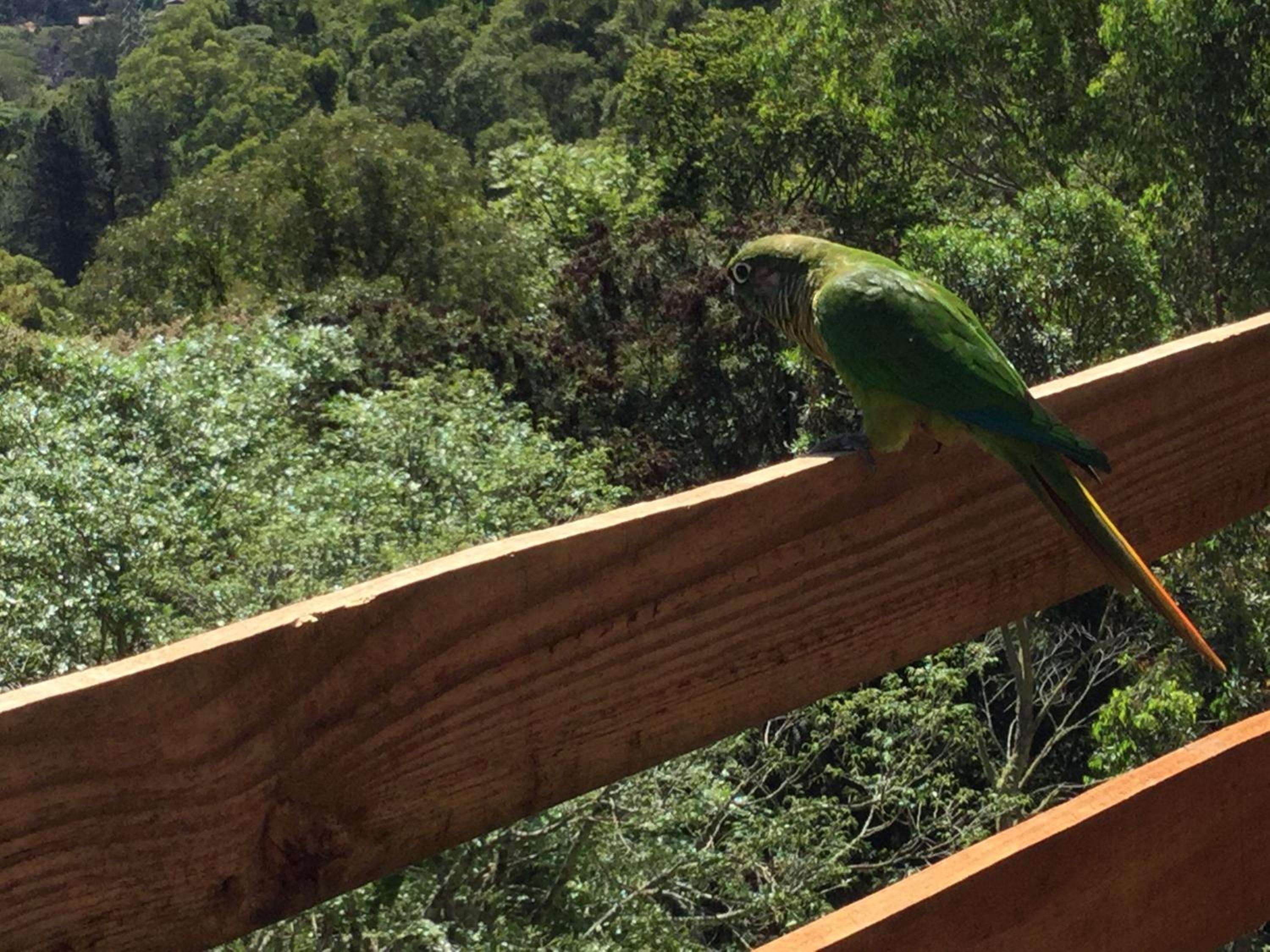 Abrigo da Reserva