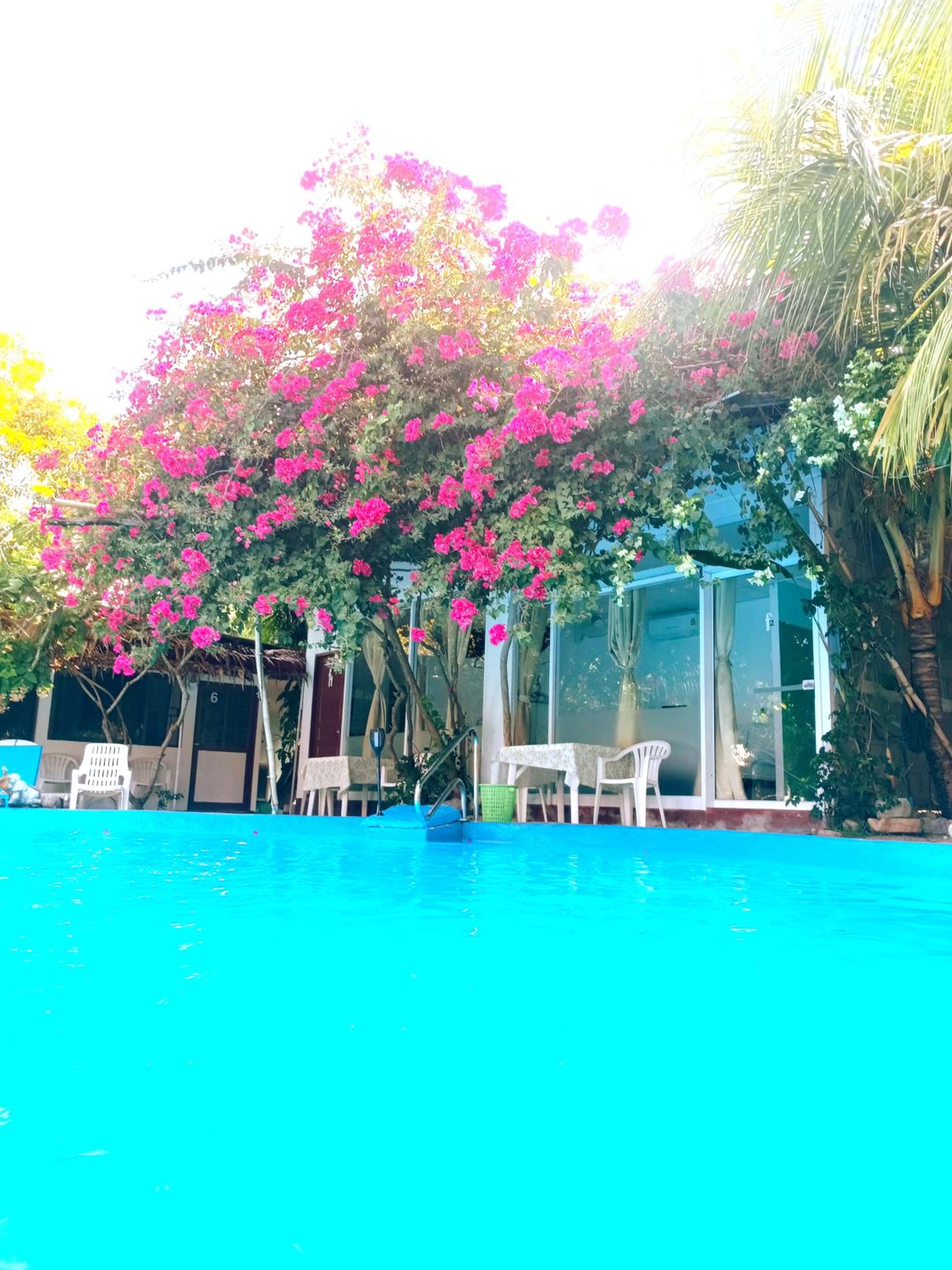 OASIS Phuket Airport
