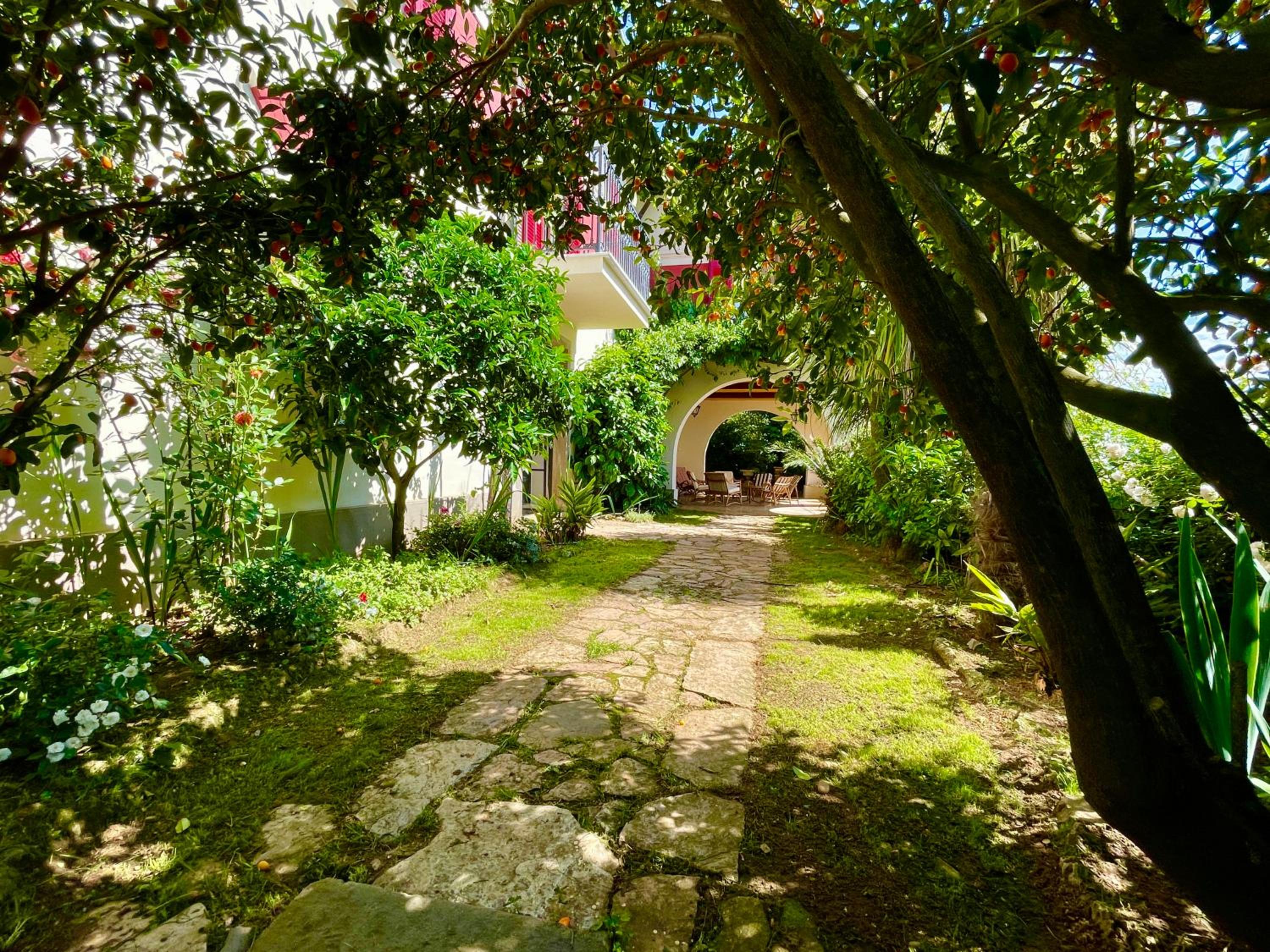 Photo 14