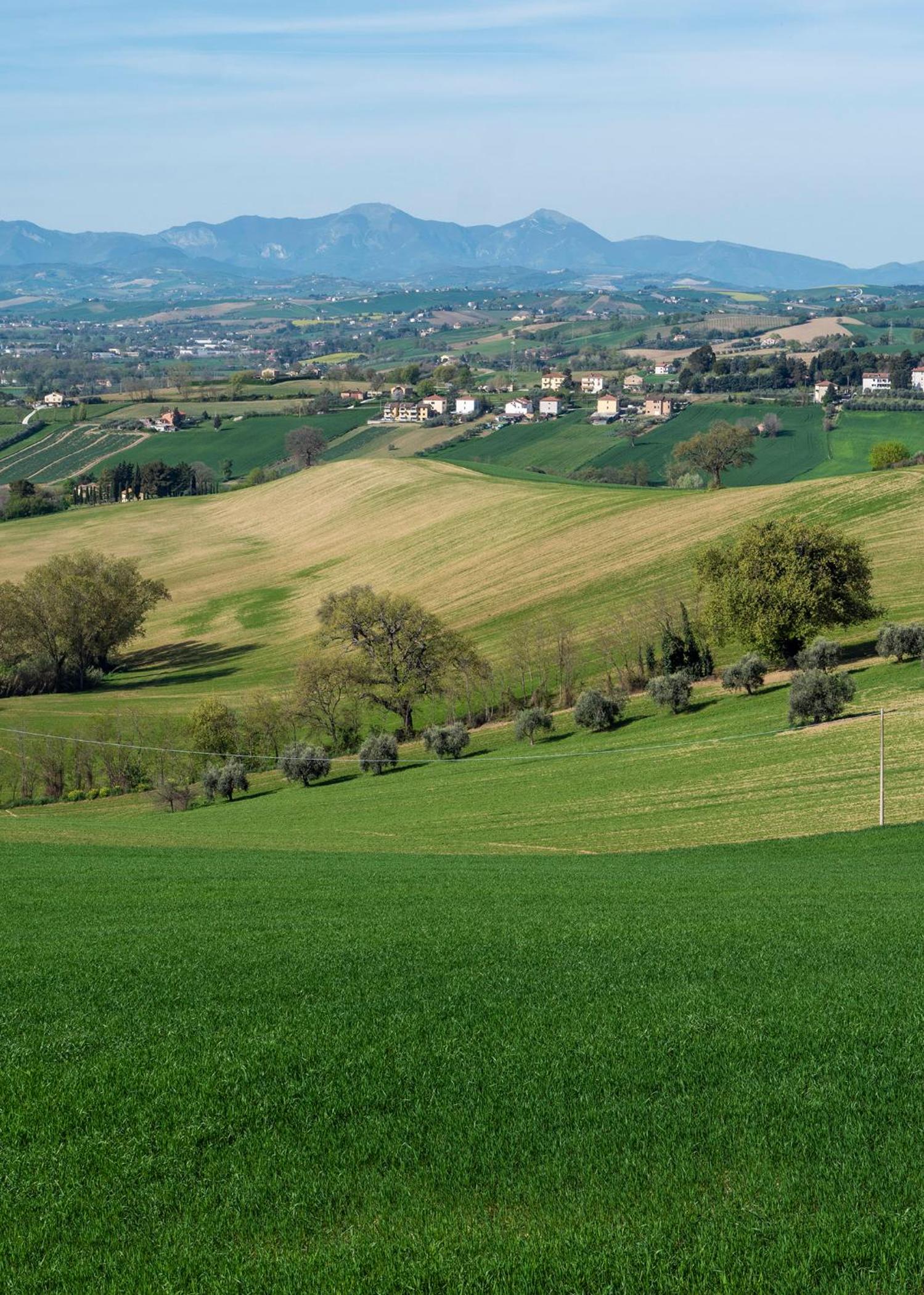 Appartamento