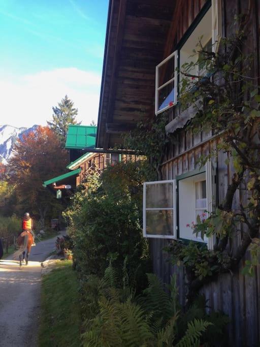 Charming Villa Lynden at foot of Loser, overlooking lake