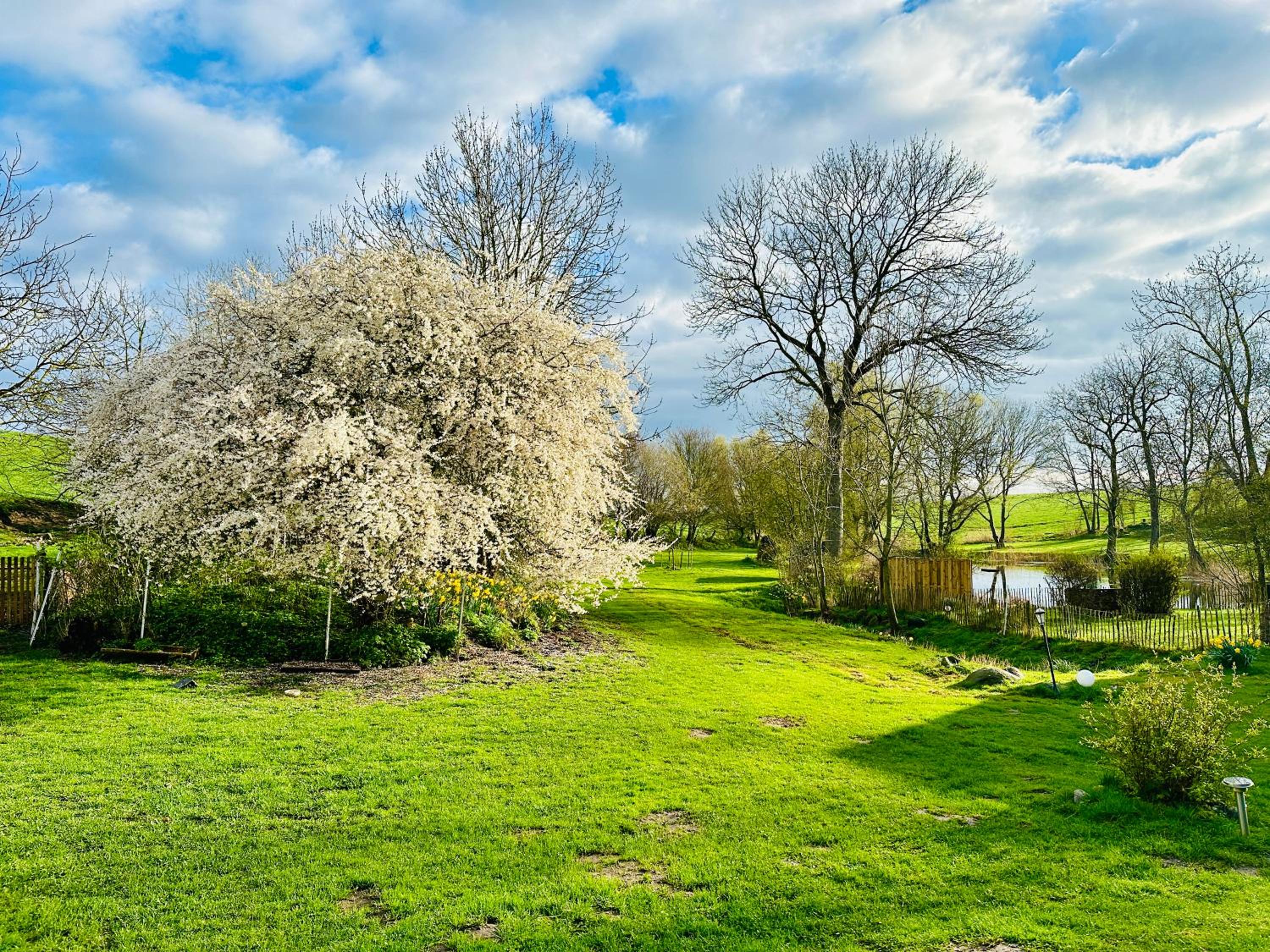 Ferienwohnung mit Luxusbad, Terrasse Ostseenähe