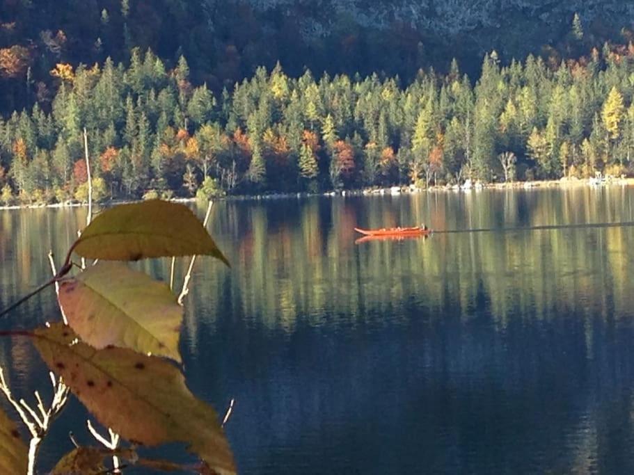 Charming Villa Lynden at foot of Loser, overlooking lake
