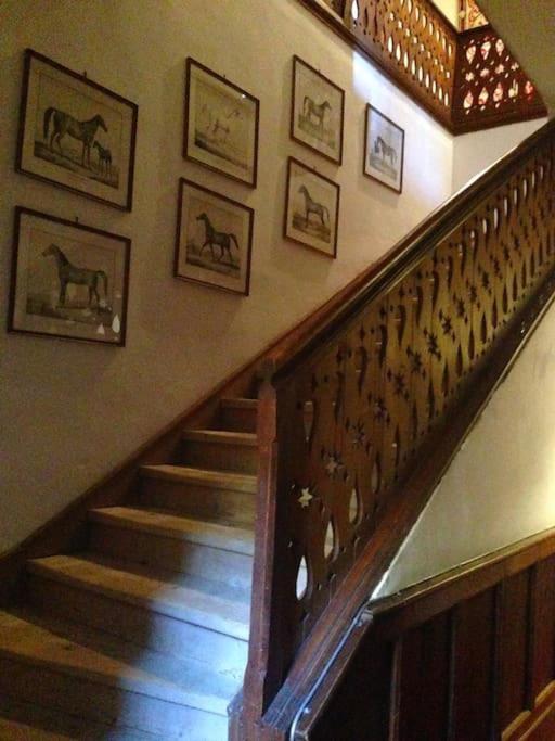 Charming Villa Lynden at foot of Loser, overlooking lake