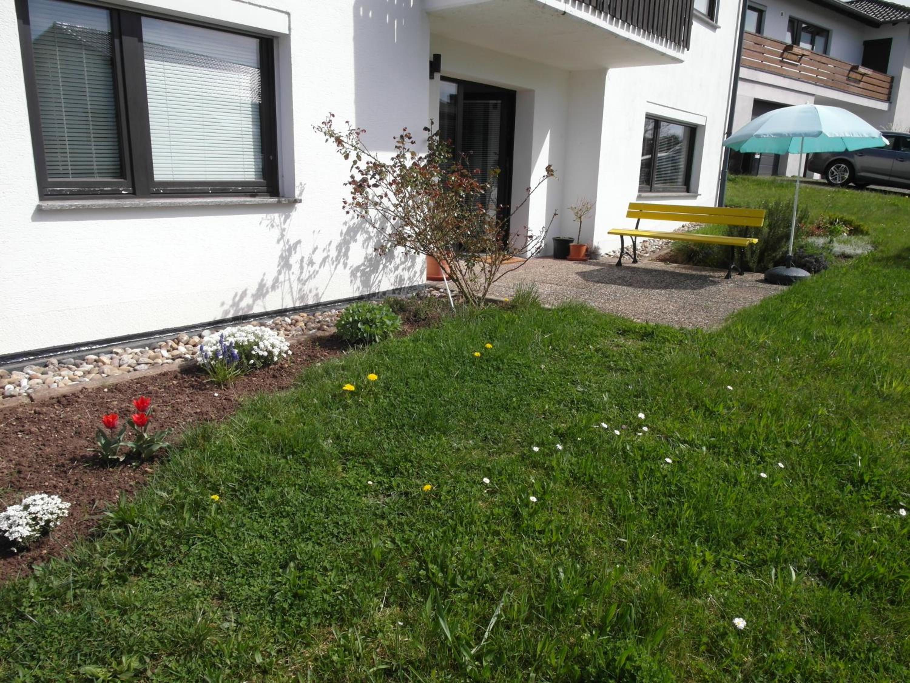 Fuchs und Hase