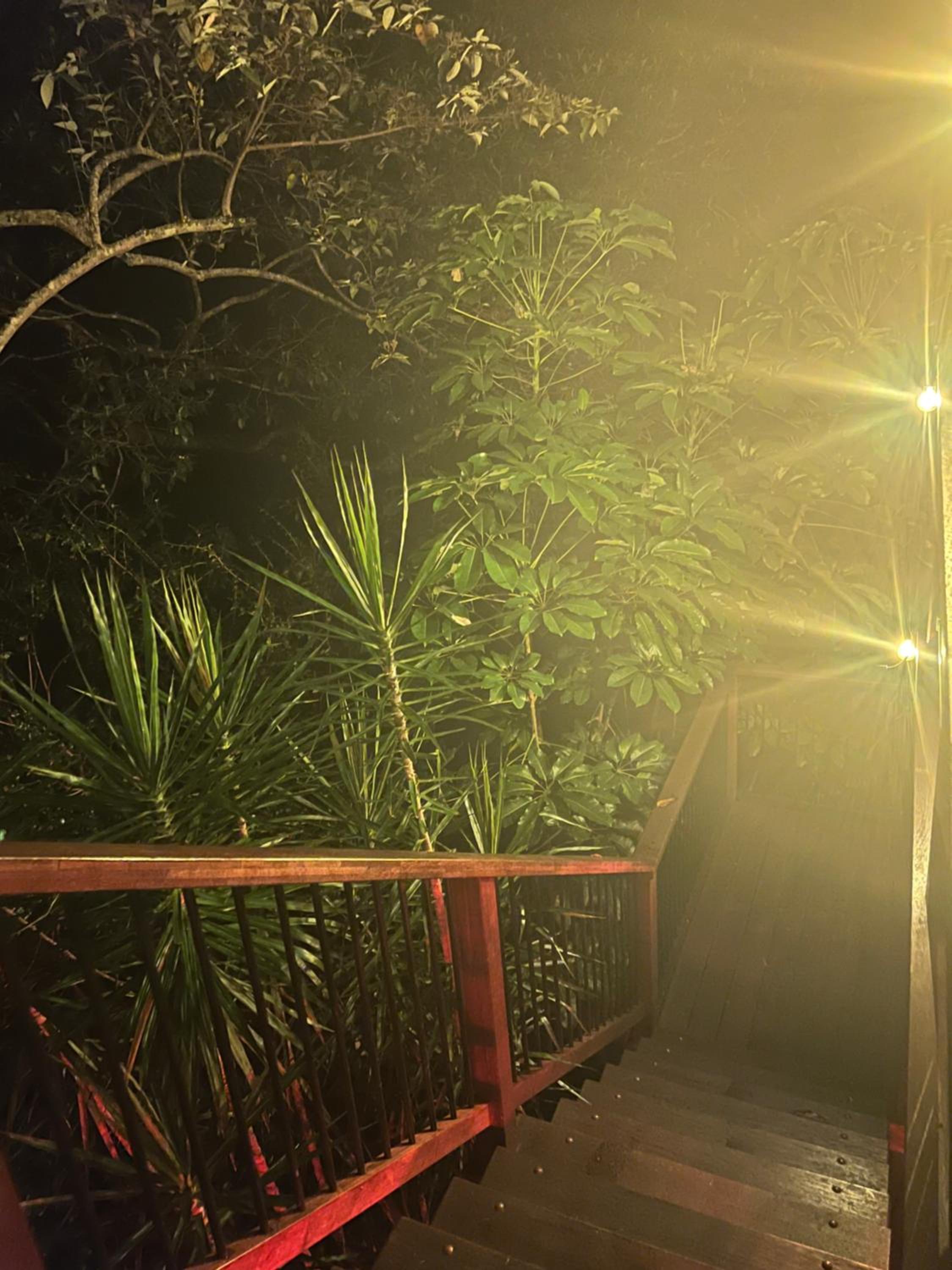 Forrest Cabin meets Treehouse
