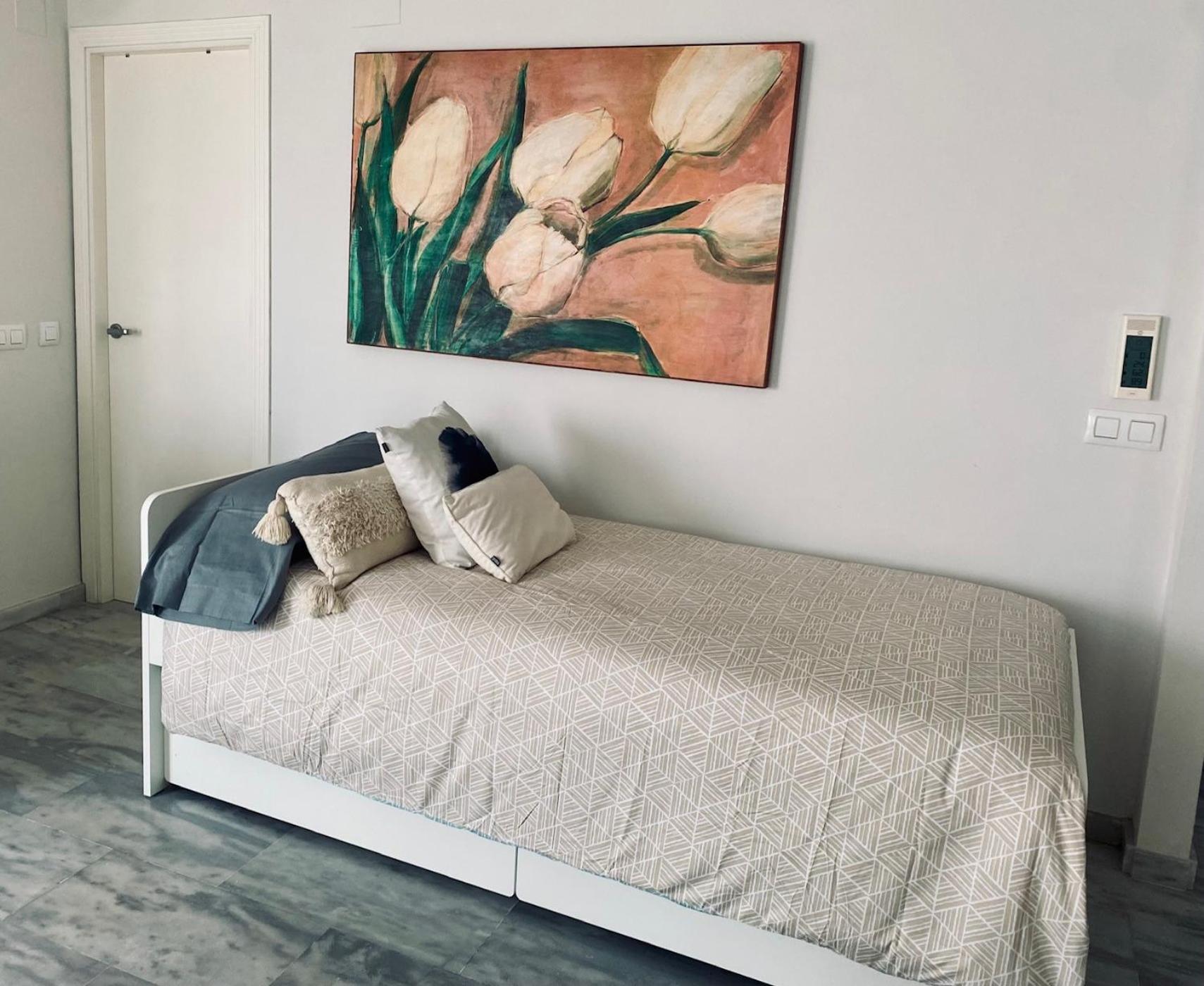 Great apartment near Banus