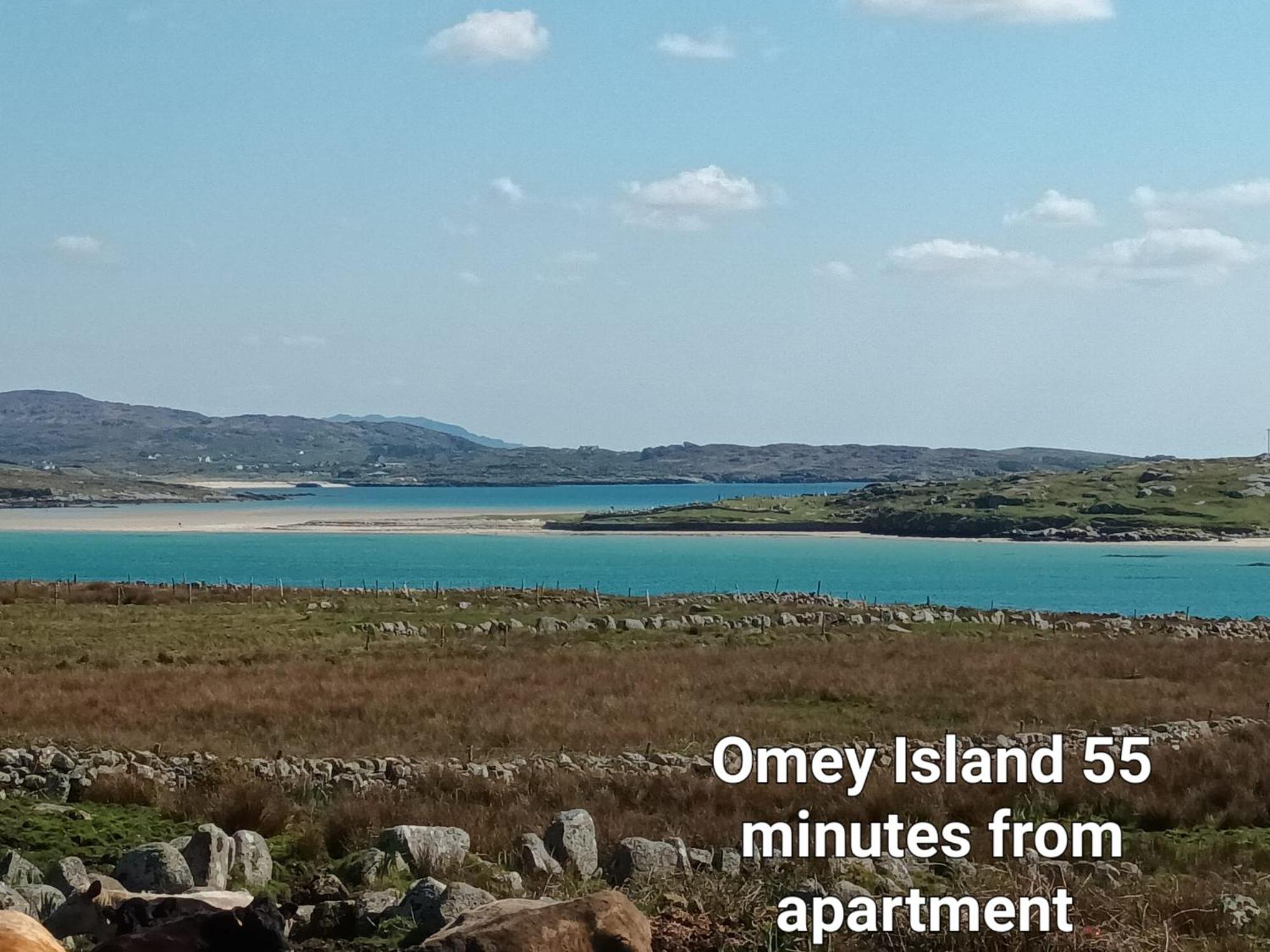 Connemara Lake View Apartment