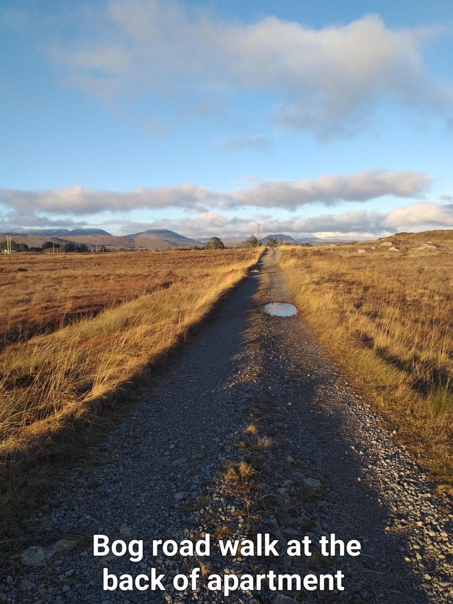 Connemara Lake View Apartment