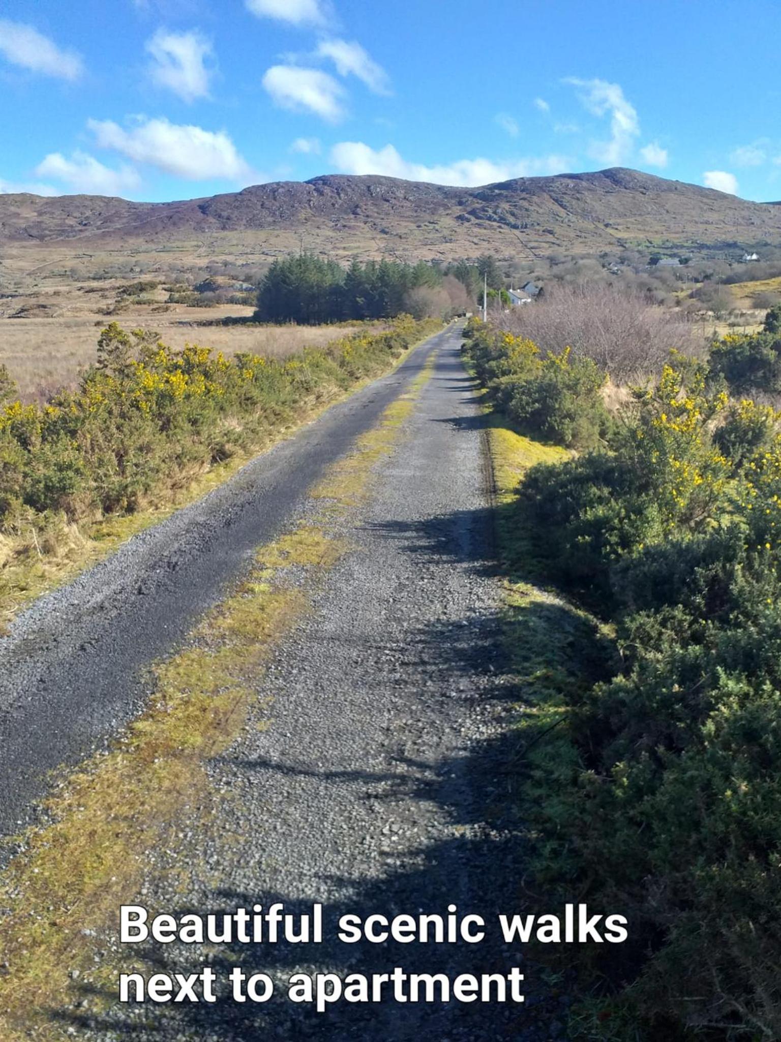 Connemara Lake View Apartment