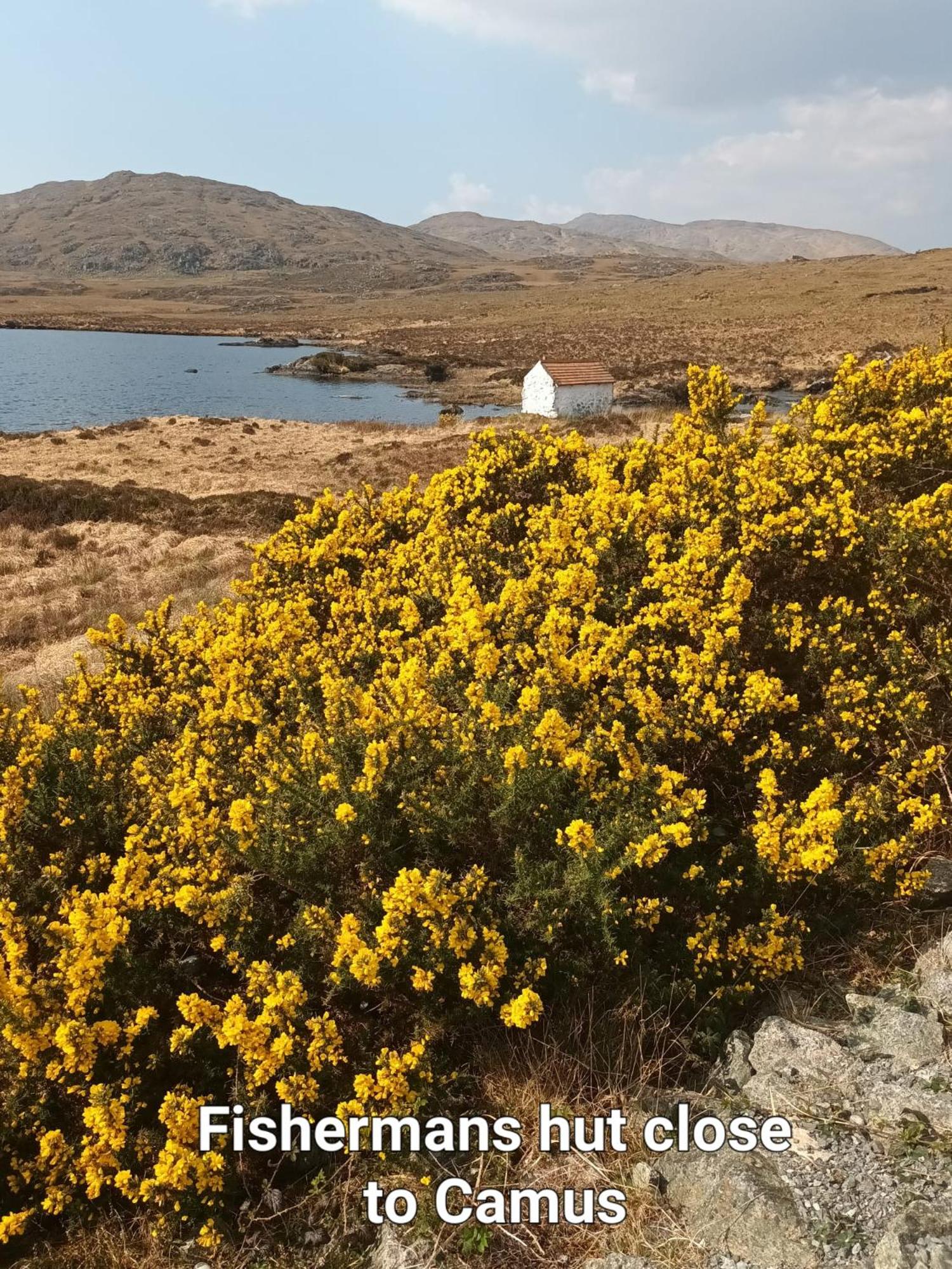 Connemara Lake View Apartment
