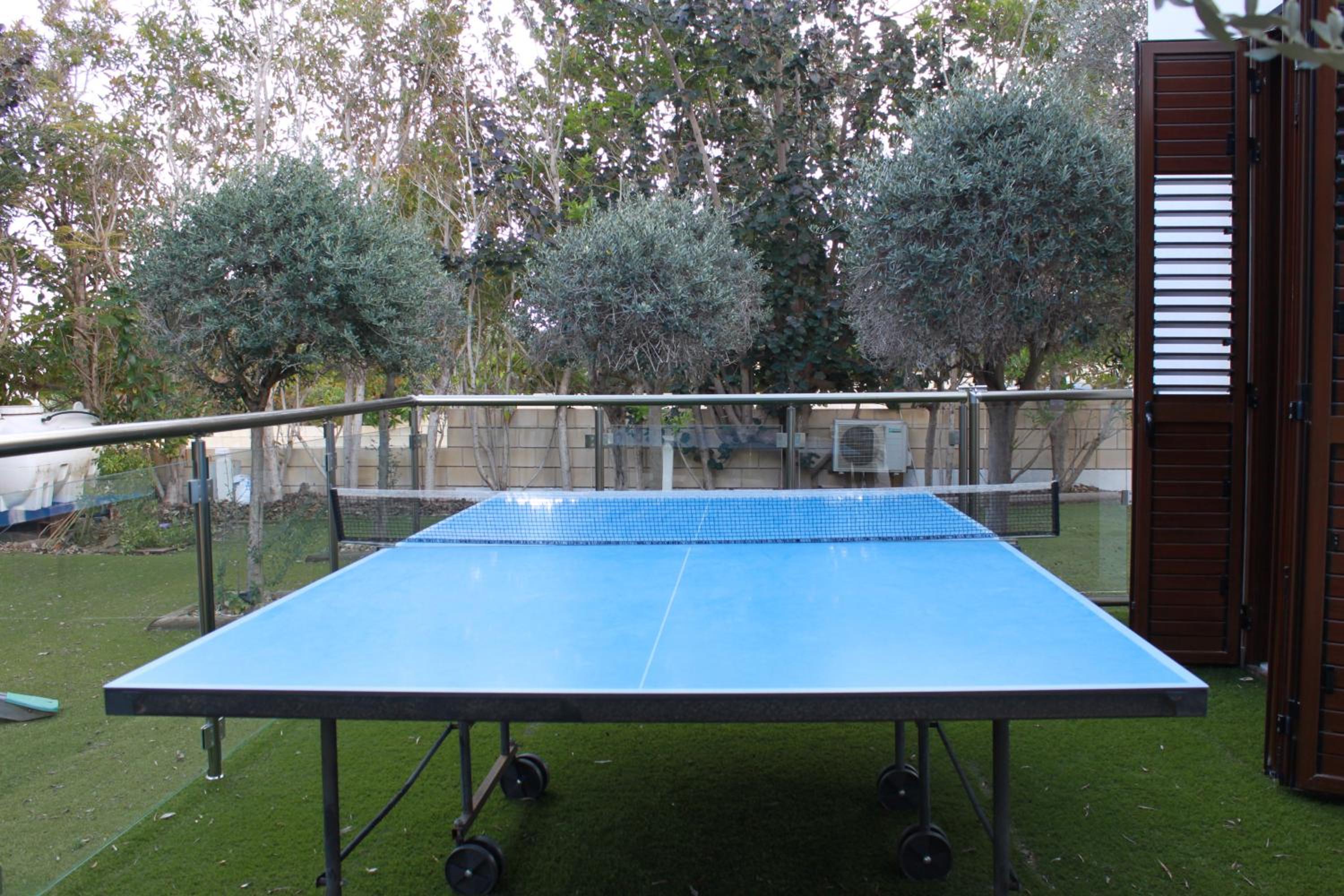 The Olive Tree