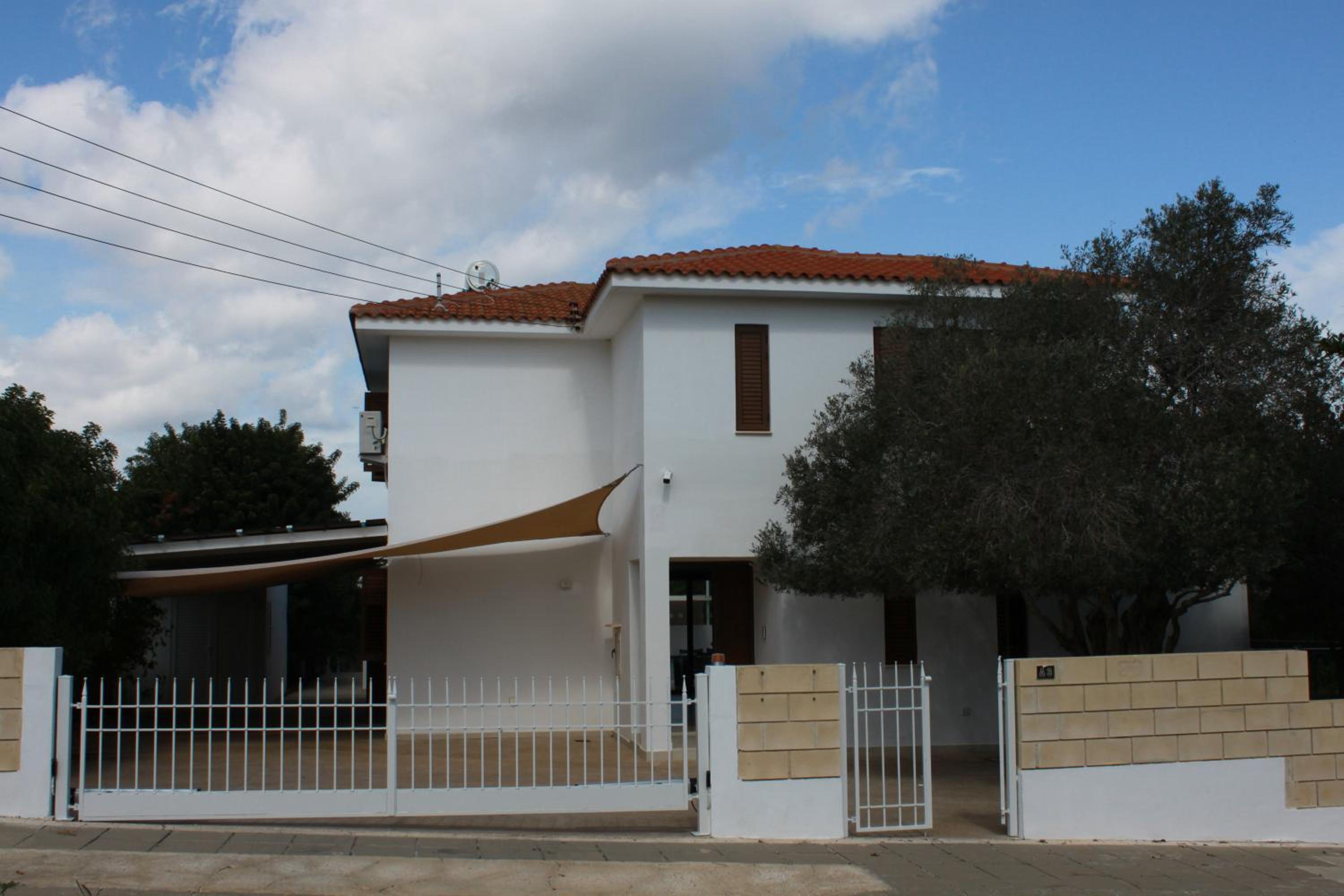 The Olive Tree