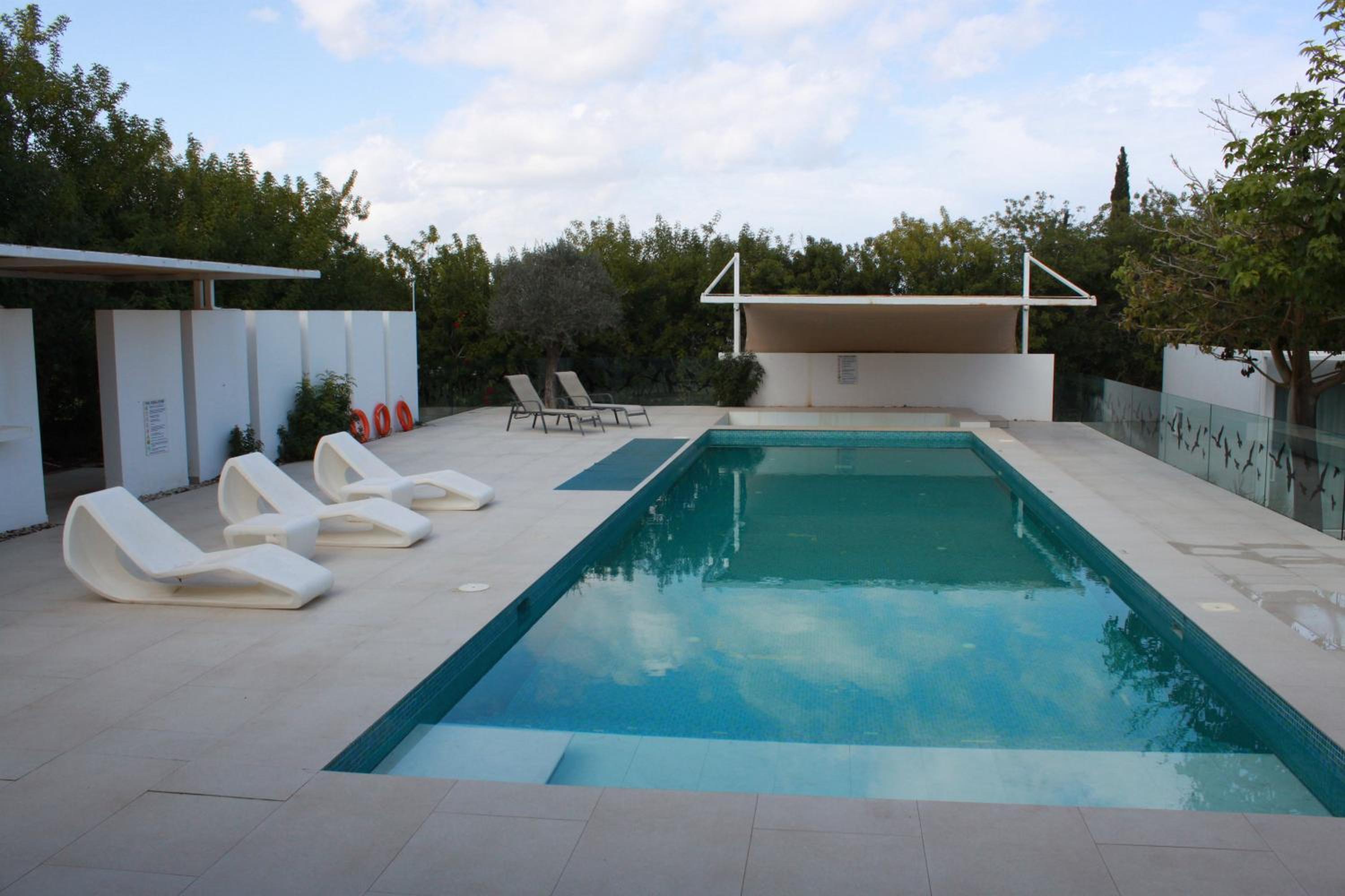 The Olive Tree