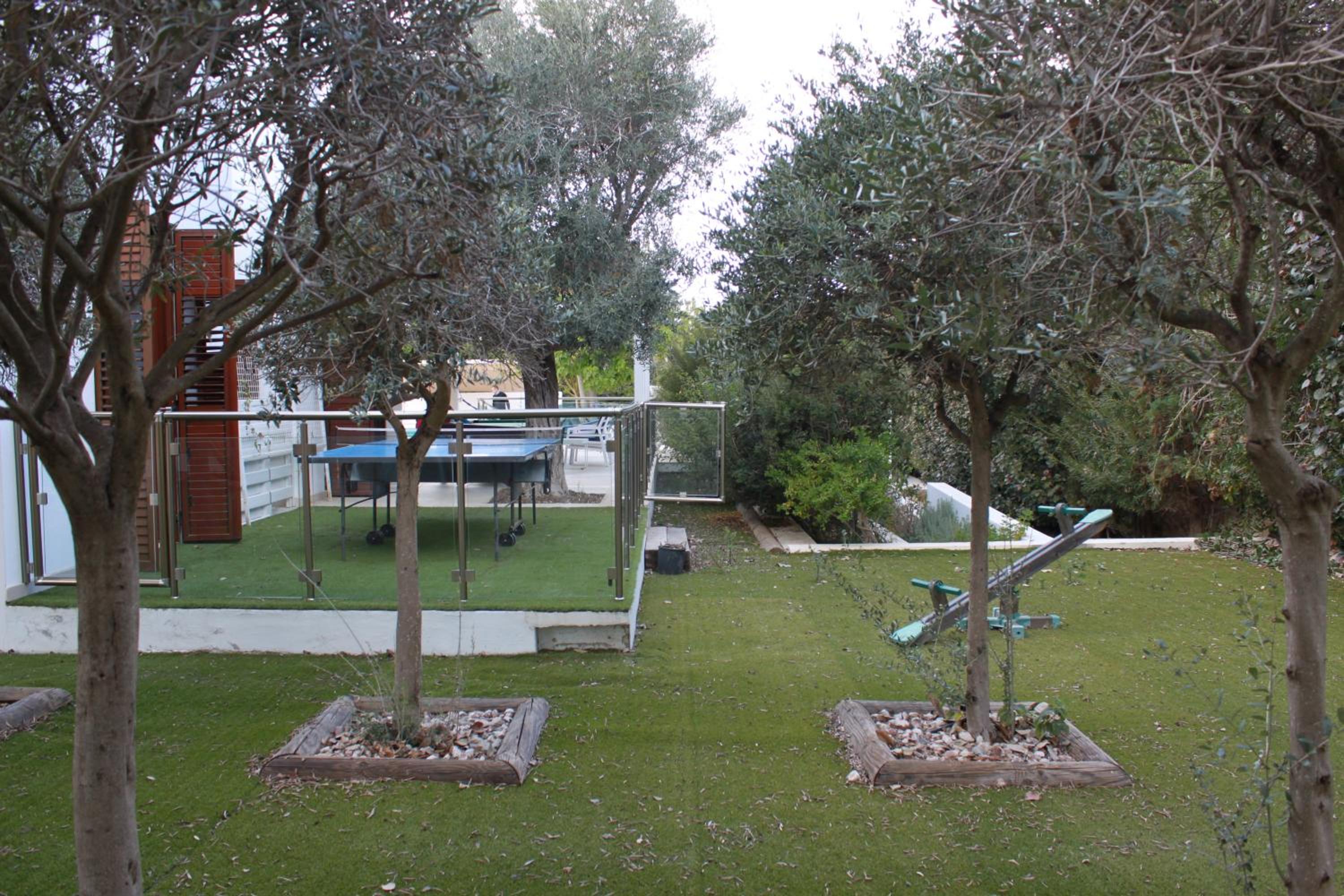 The Olive Tree