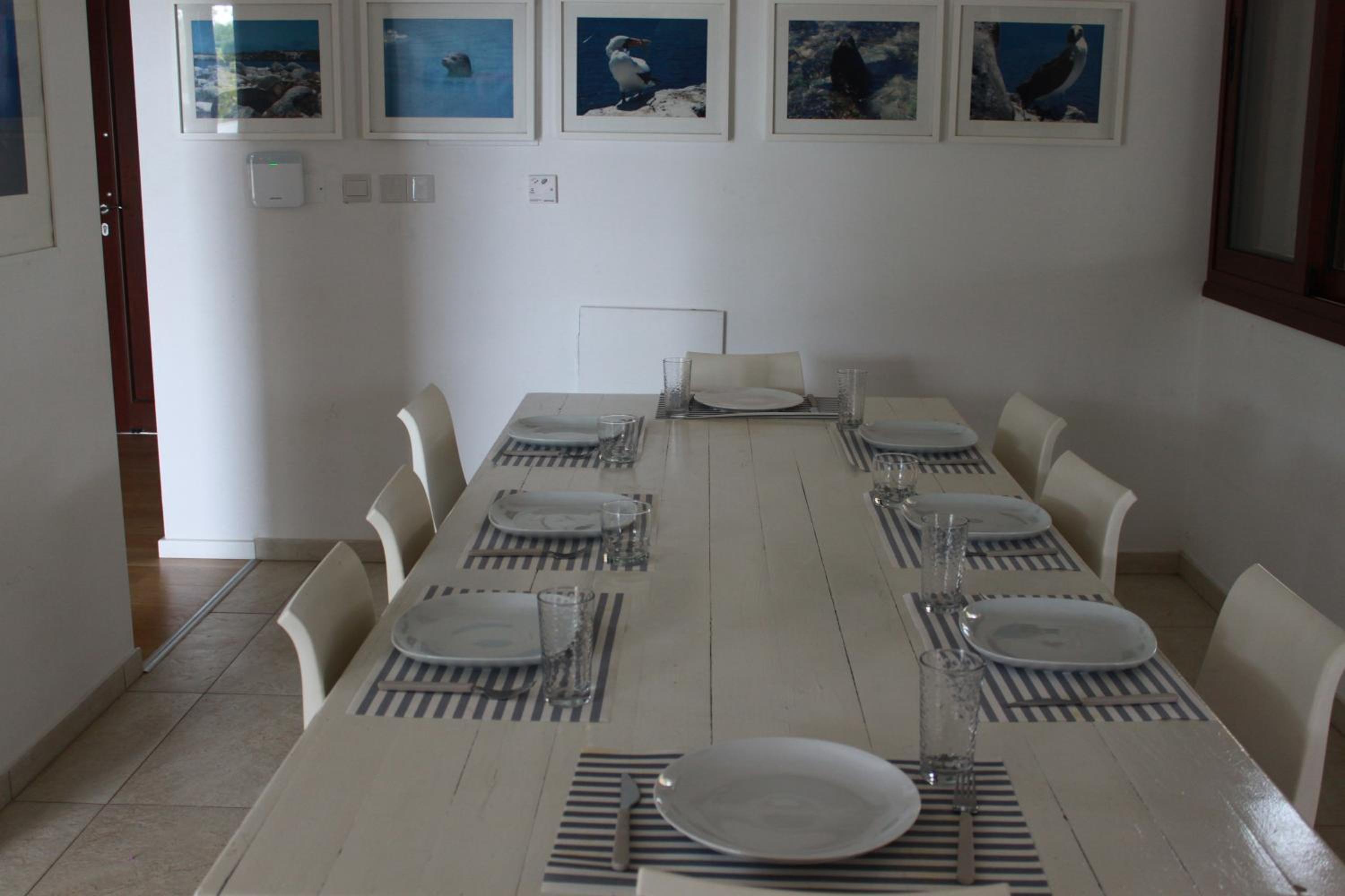 The Olive Tree