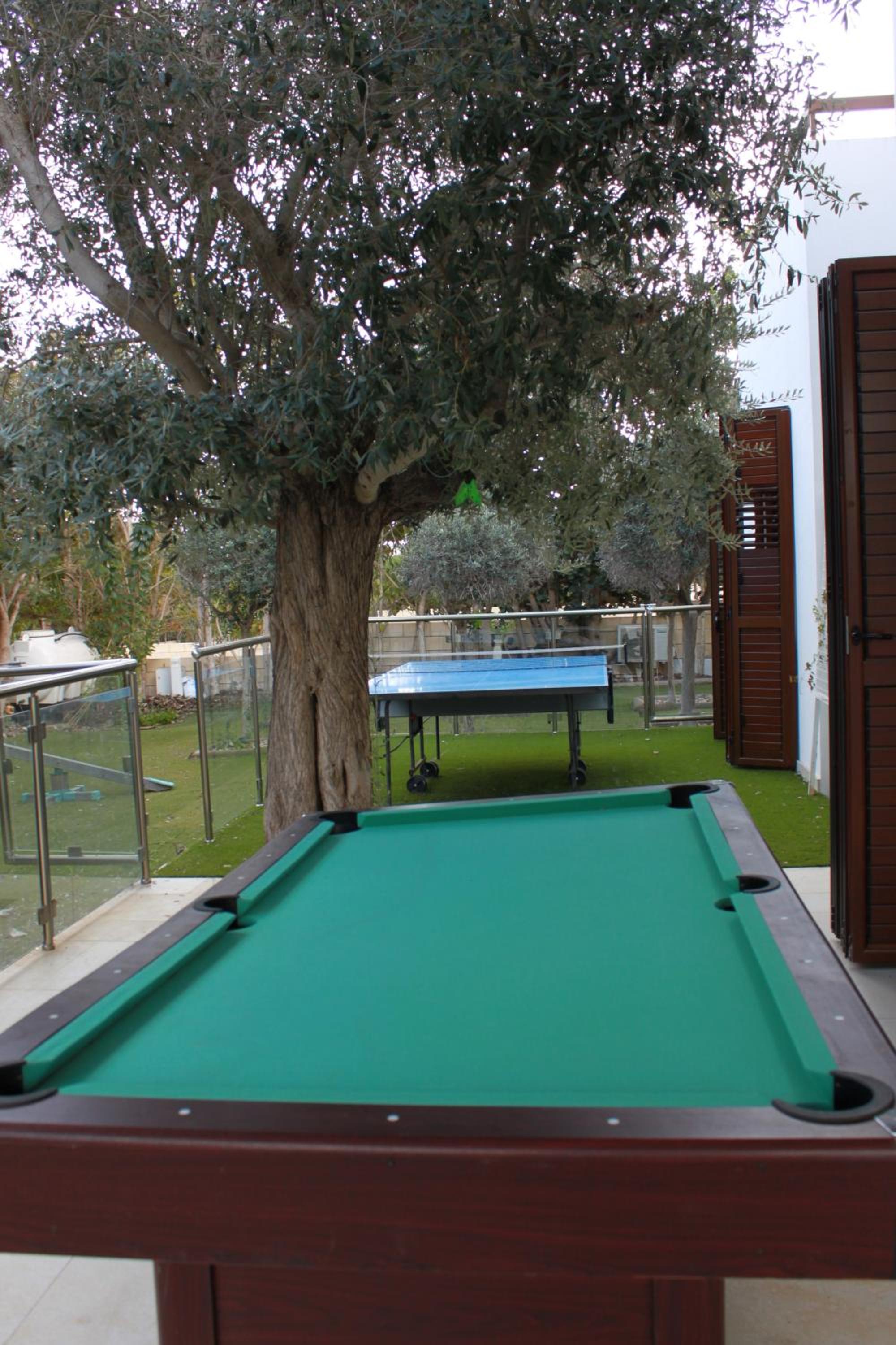 The Olive Tree