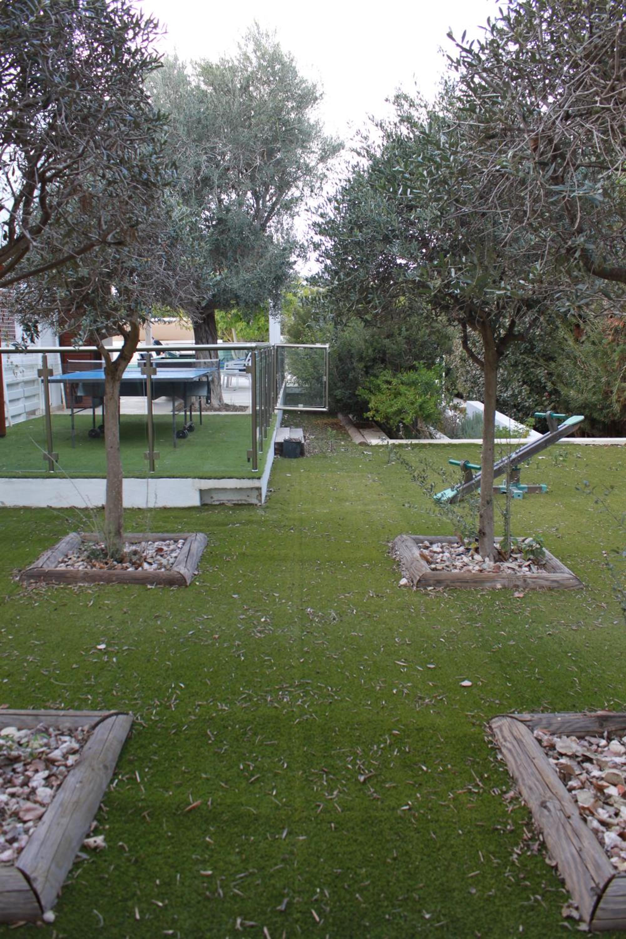The Olive Tree