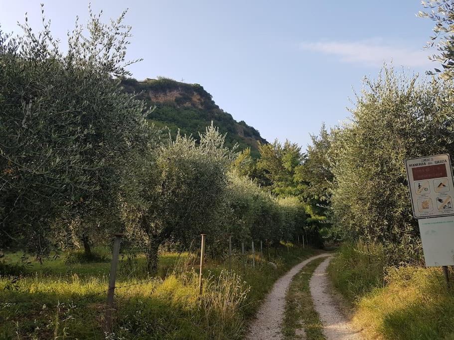 Manerba Cottage giardino 2 bici view 5