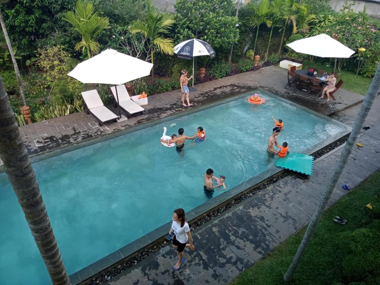 Green Areca villa