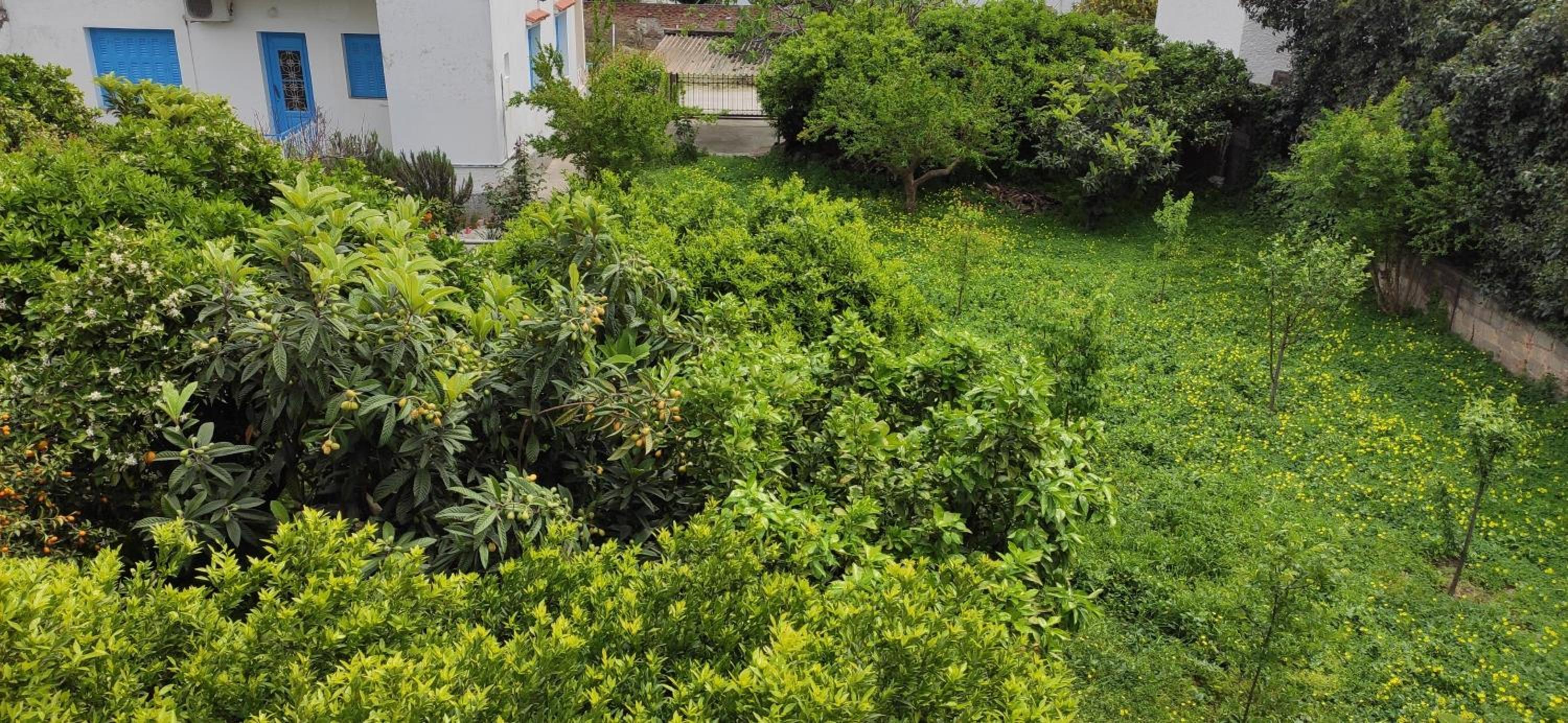Garden house