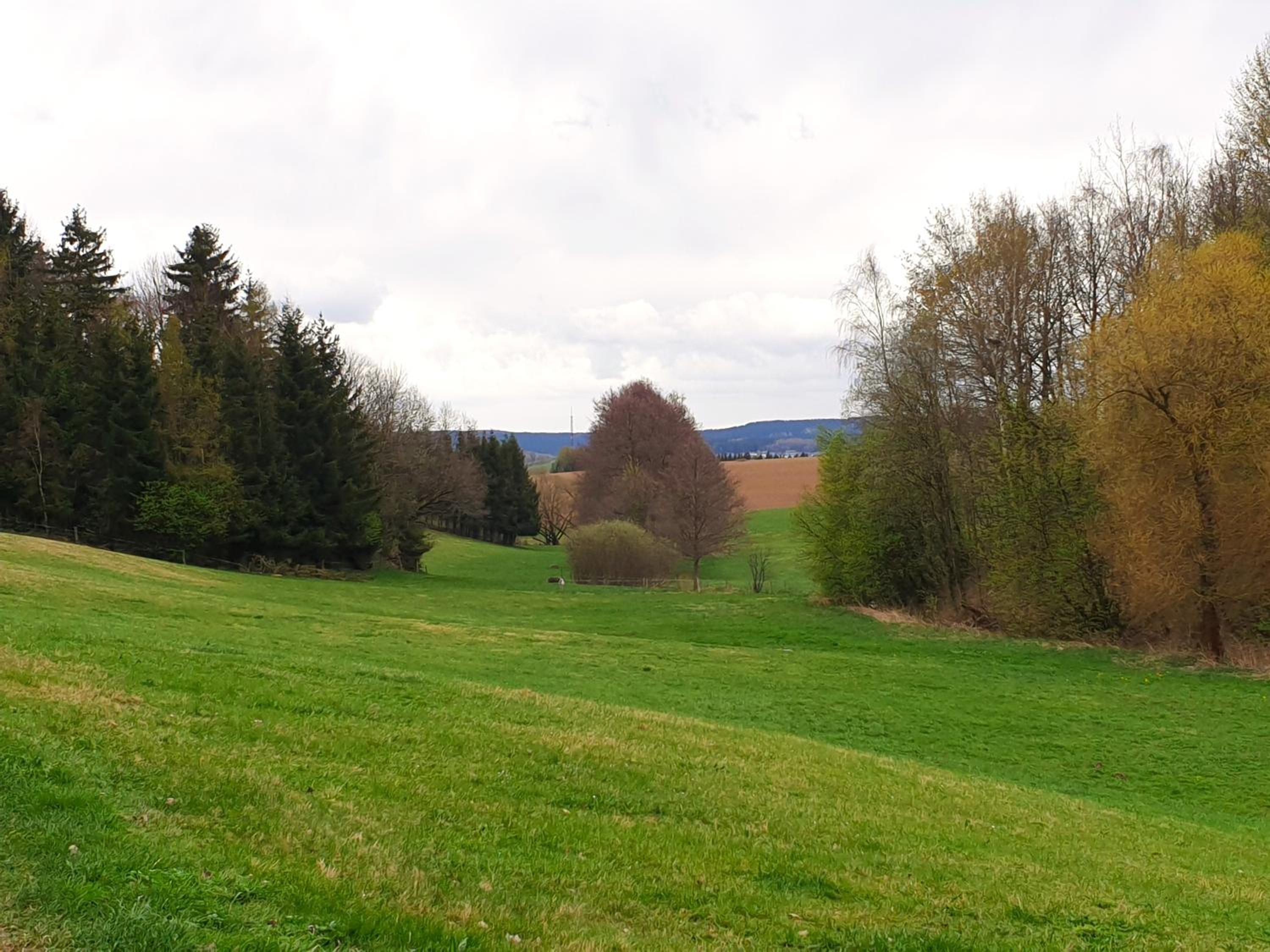 Ferienwohnung ErzHome