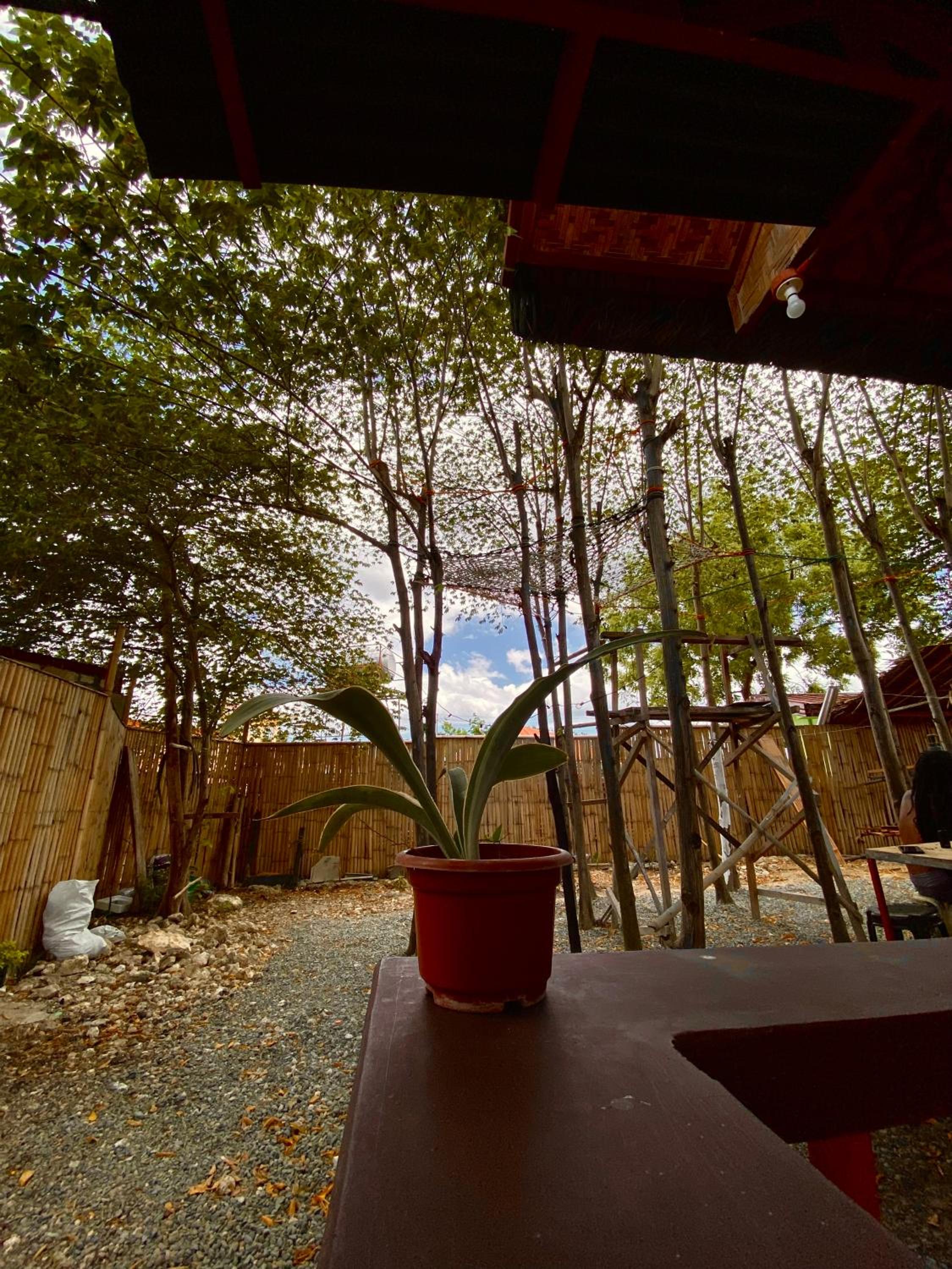 Moalboal Panagsama beach TopBudz Hostel