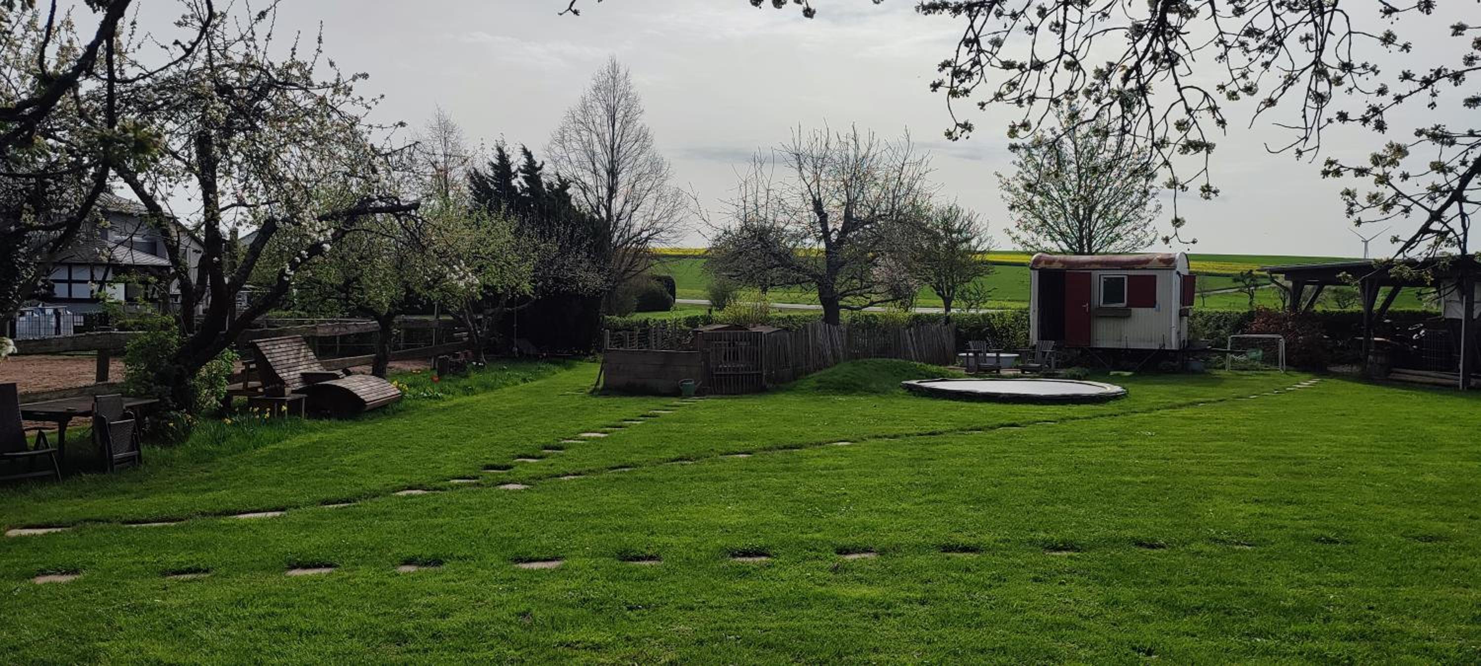 Photo 42