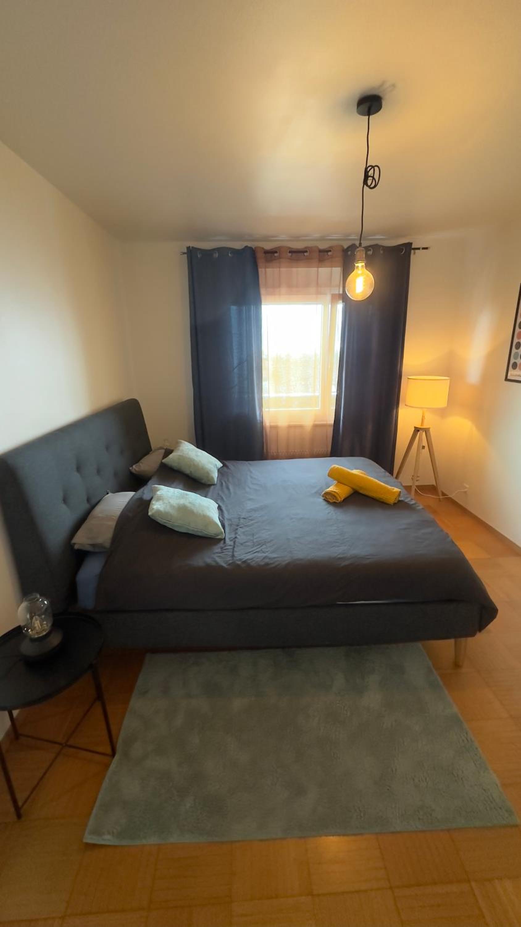 Appartement vue lac Montreux
