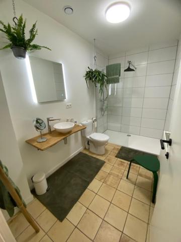 Vakantiewoning Het Wielje Maasland