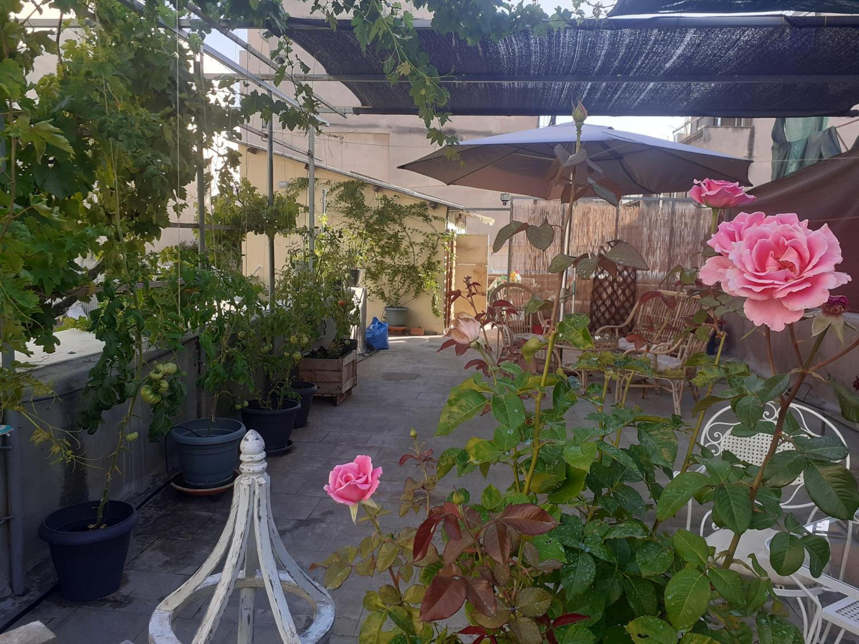 17 flats and Roof Garden