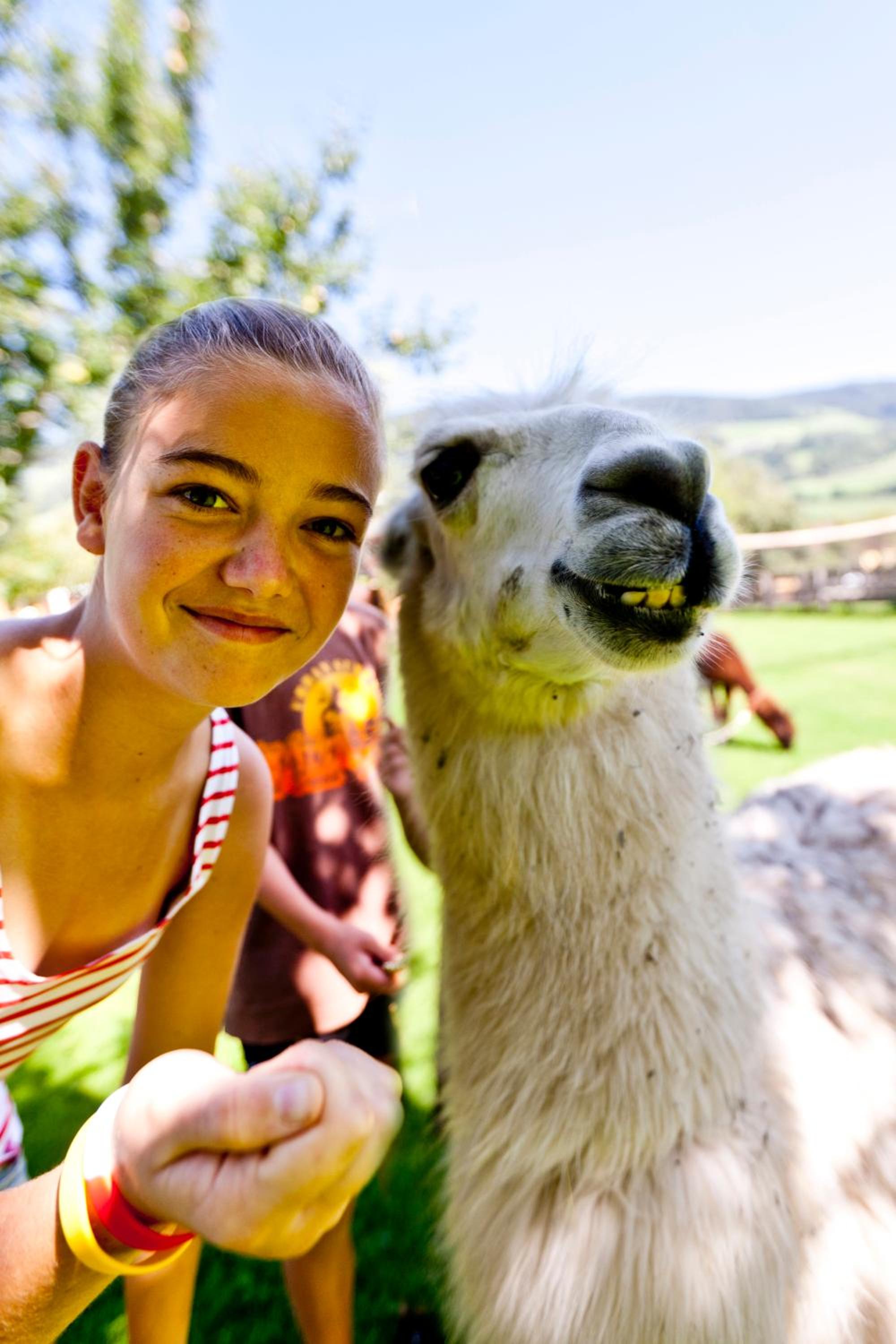 Pension Zechnerhof