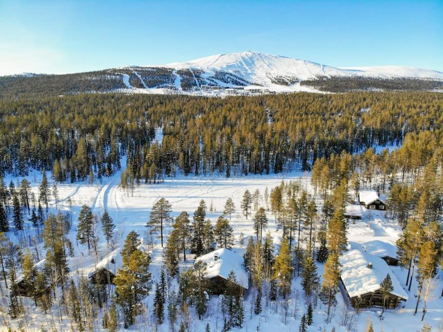 Charming Chalet in Ylläs skiresort
