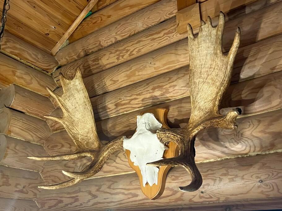 Charming Chalet in Ylläs skiresort
