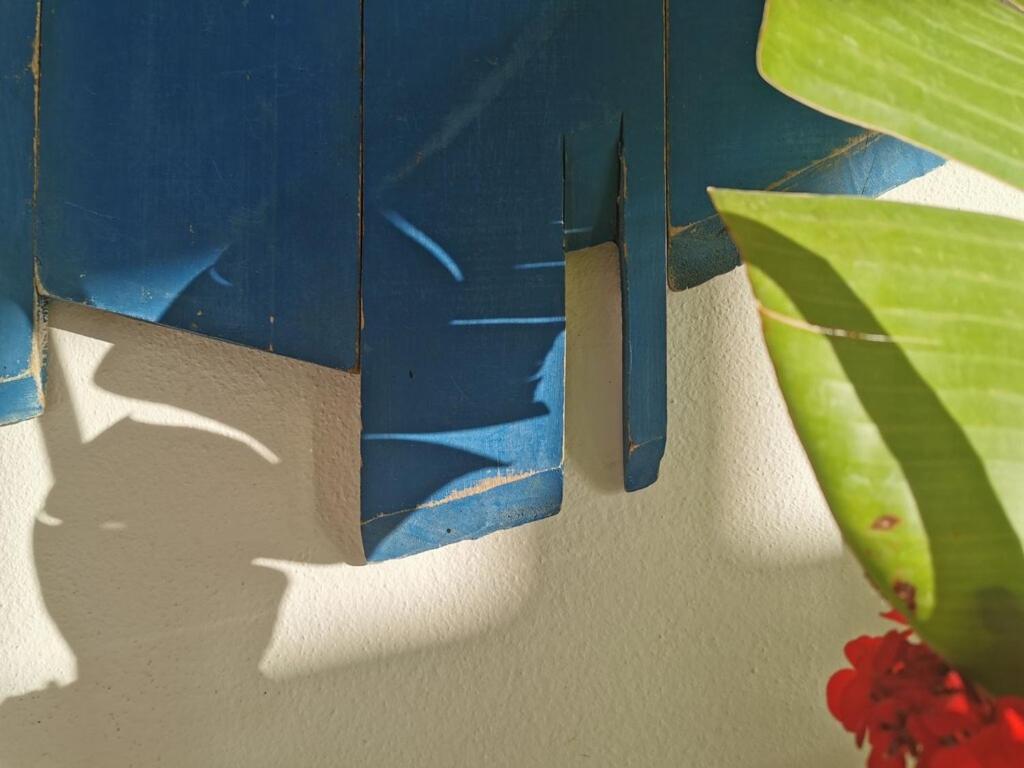 BauHaus meets cactus