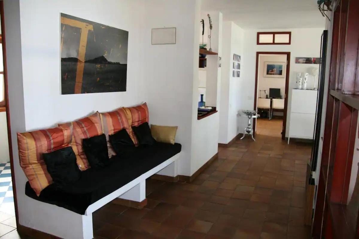 BauHaus meets cactus