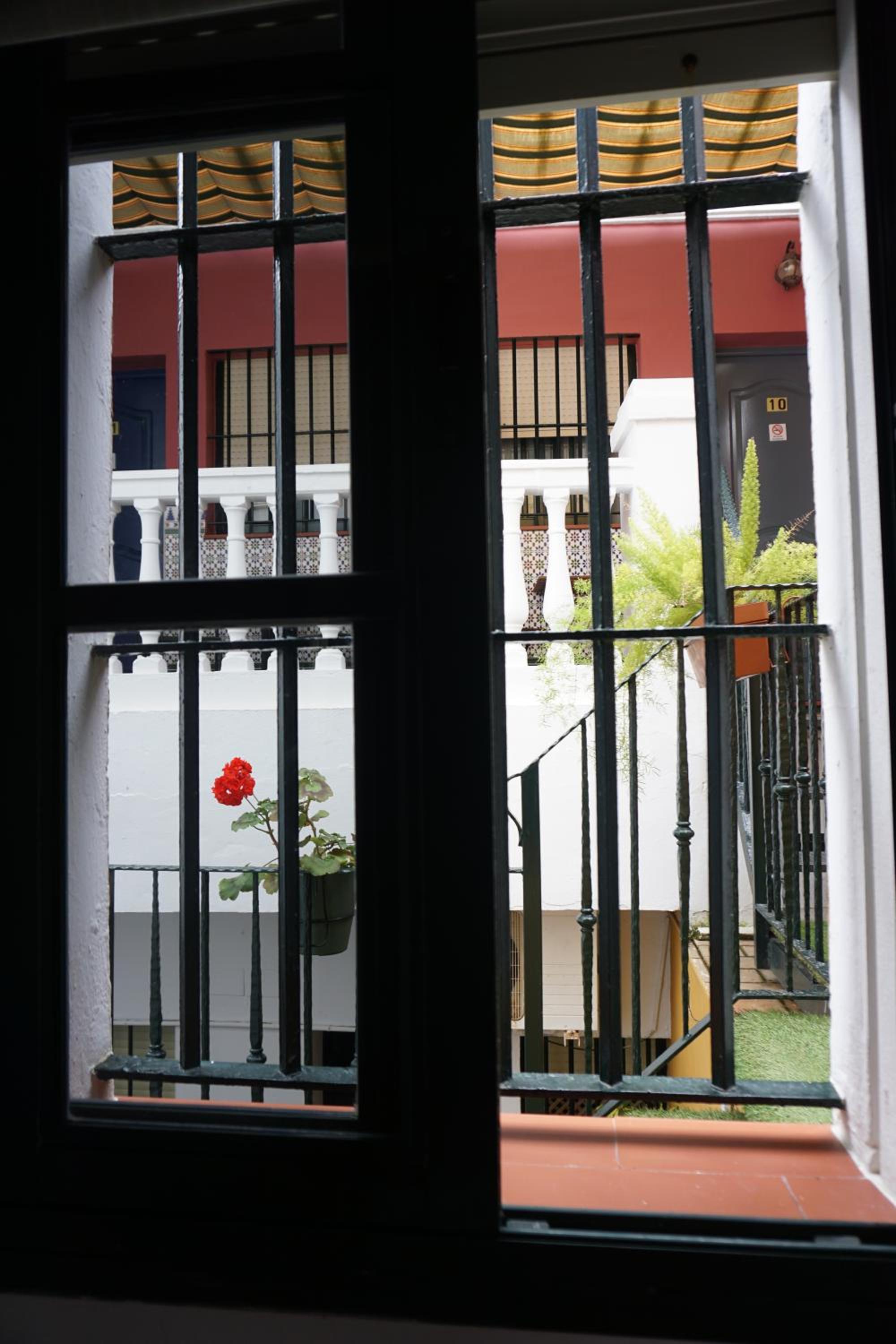 Photo 44