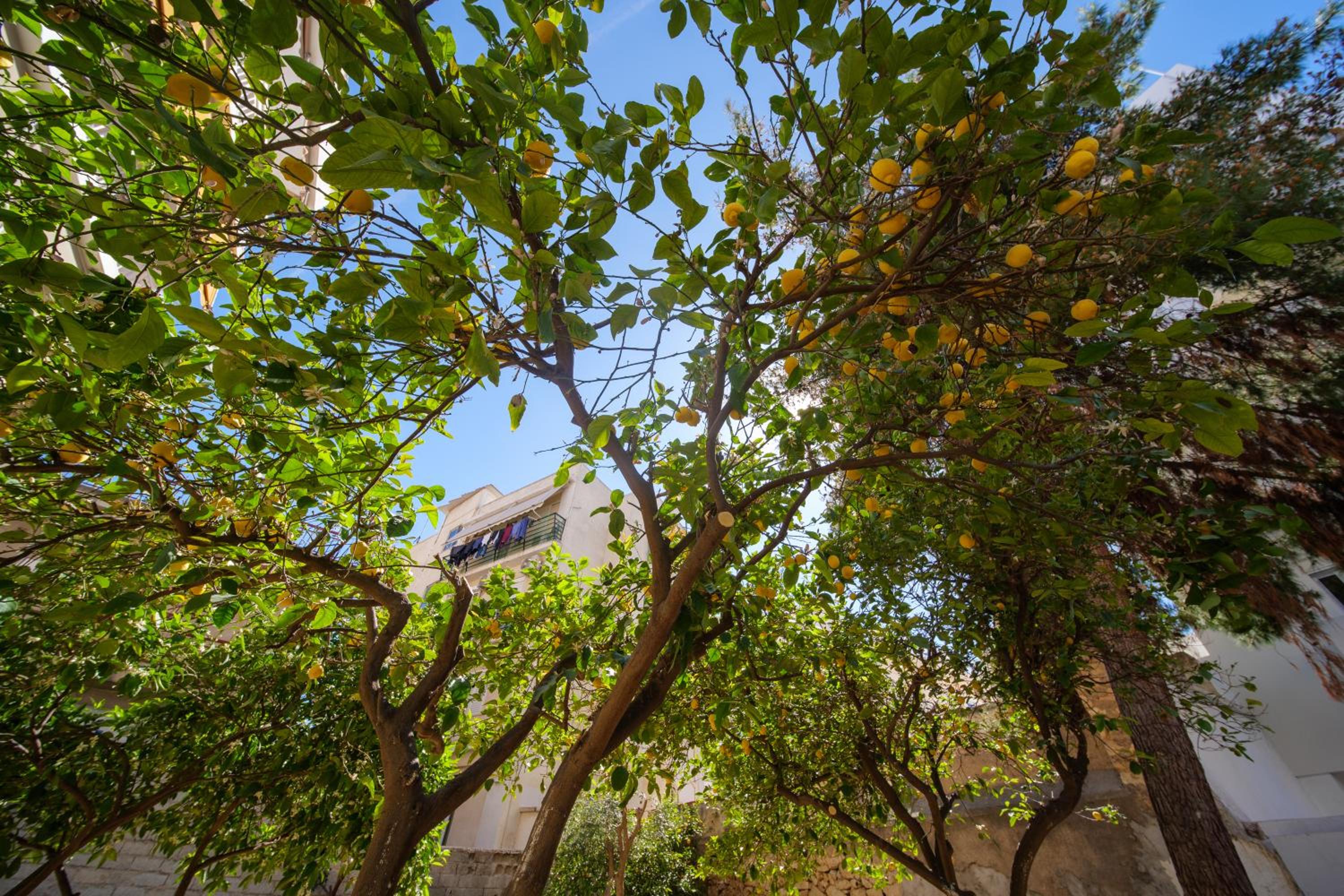 Peaceful Private Bungalow VIPGreece